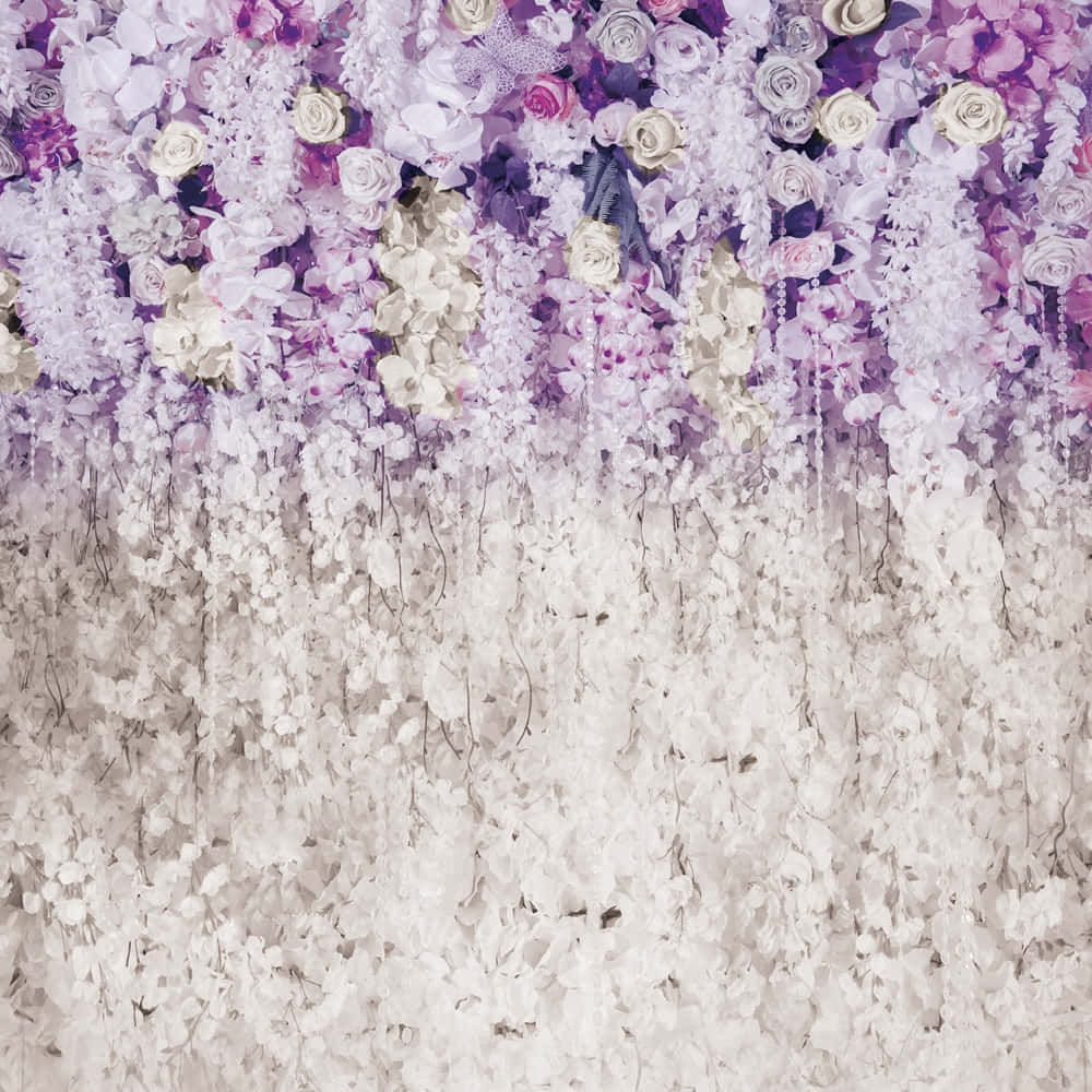 適合任何場合的美麗紫色花卉背景 壁紙 — 一面由薰衣草和白色花朵組成的瀑布牆，營造出夢幻的花卉背景，柔軟的花瓣向下流淌。