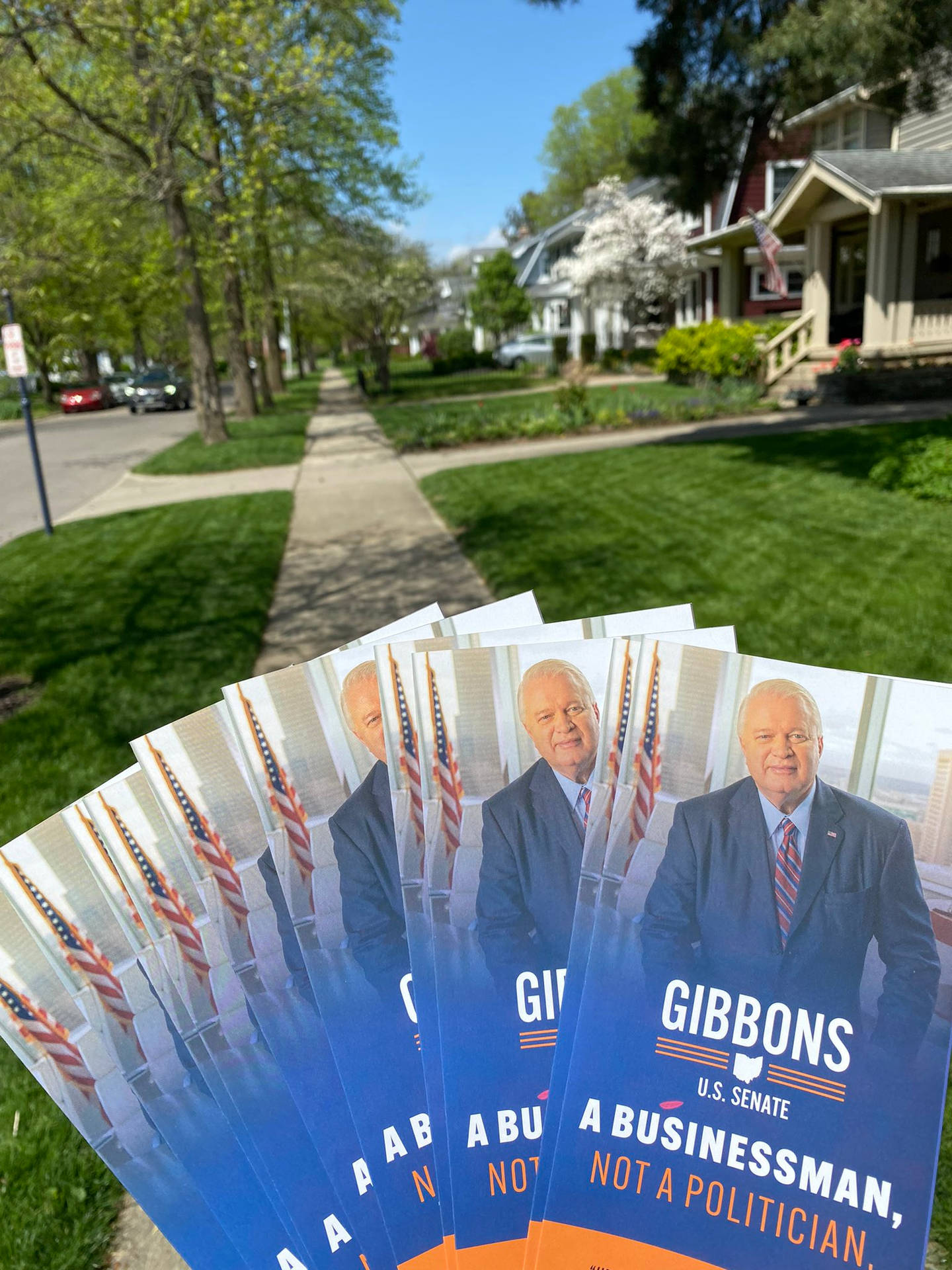 Gibbons 美國參議員候選人的競選傳單放在郊區人行道上。