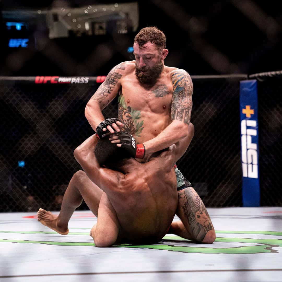 兩名男性MMA拳手在比賽期間於UFC八角籠中纏鬥。