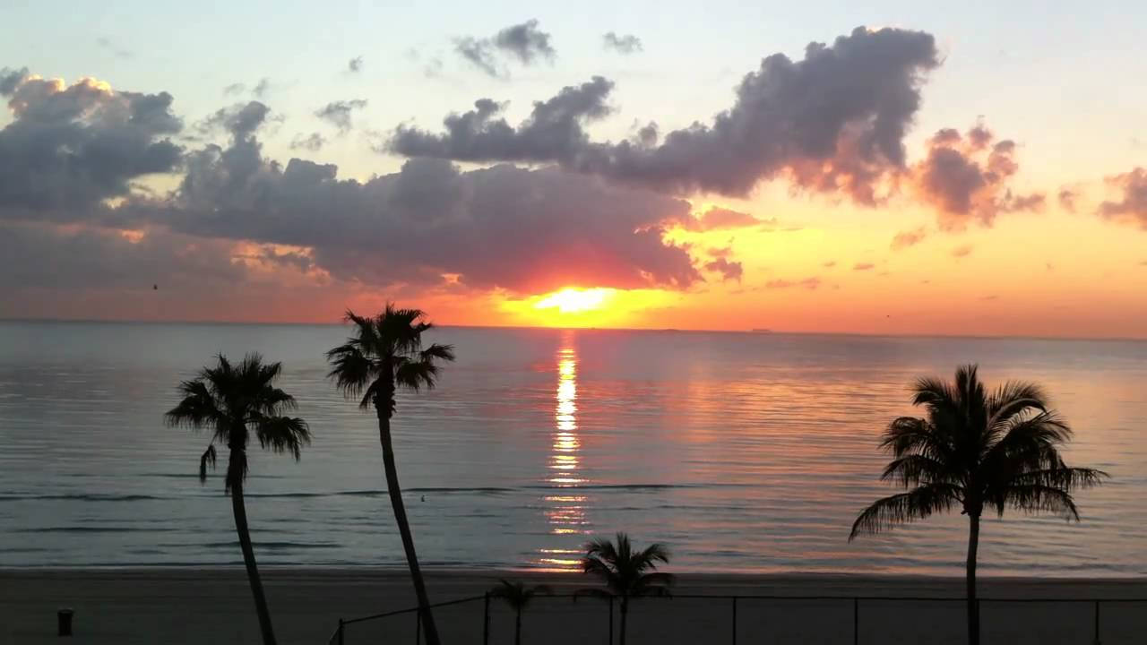 邁阿密海灘日落 壁紙 — 夕陽將天空染成火熱的橙色和紫色，棕櫚樹在平靜的海水上形成剪影。
