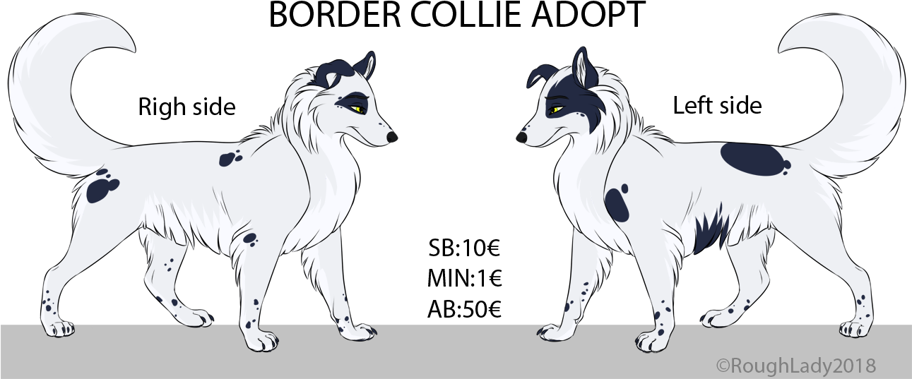 邊境牧羊犬可領養插畫 壁紙 — 兩隻風格化的白色狗，帶有黑色斑紋，在黑色背景前相對而立。