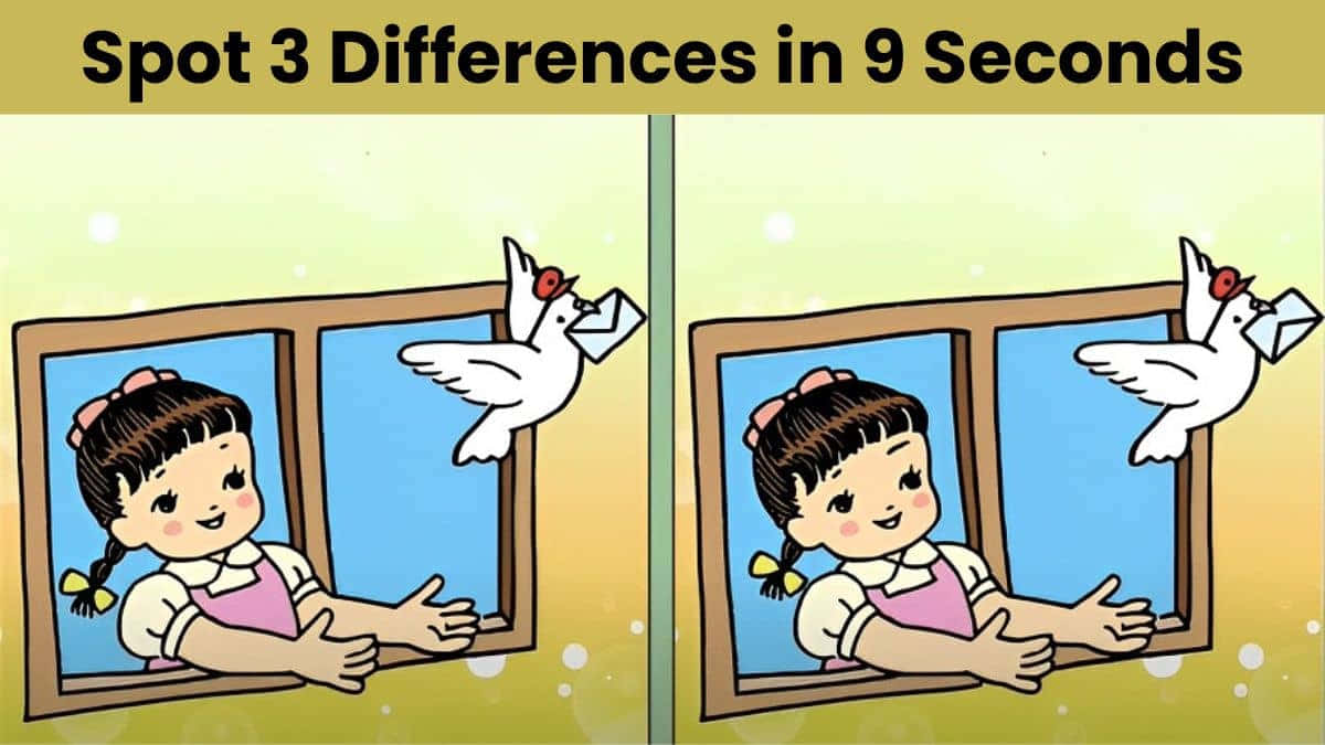 郵差白鴿找不同圖 壁紙 — 一個卡通女孩在窗框裡，有一隻鴿子拿著一封信，分成兩個幾乎相同的面板，用於找不同遊戲。
