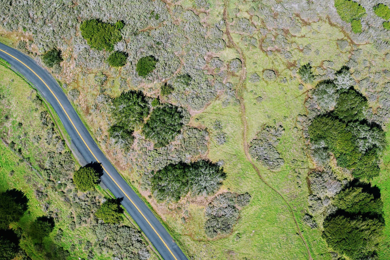 鄉村道路地形 壁紙 — 鳥瞰圖顯示一條蜿蜒的瀝青道路在明亮的日光下穿過綠色和灰色灌木叢的拼湊地帶。