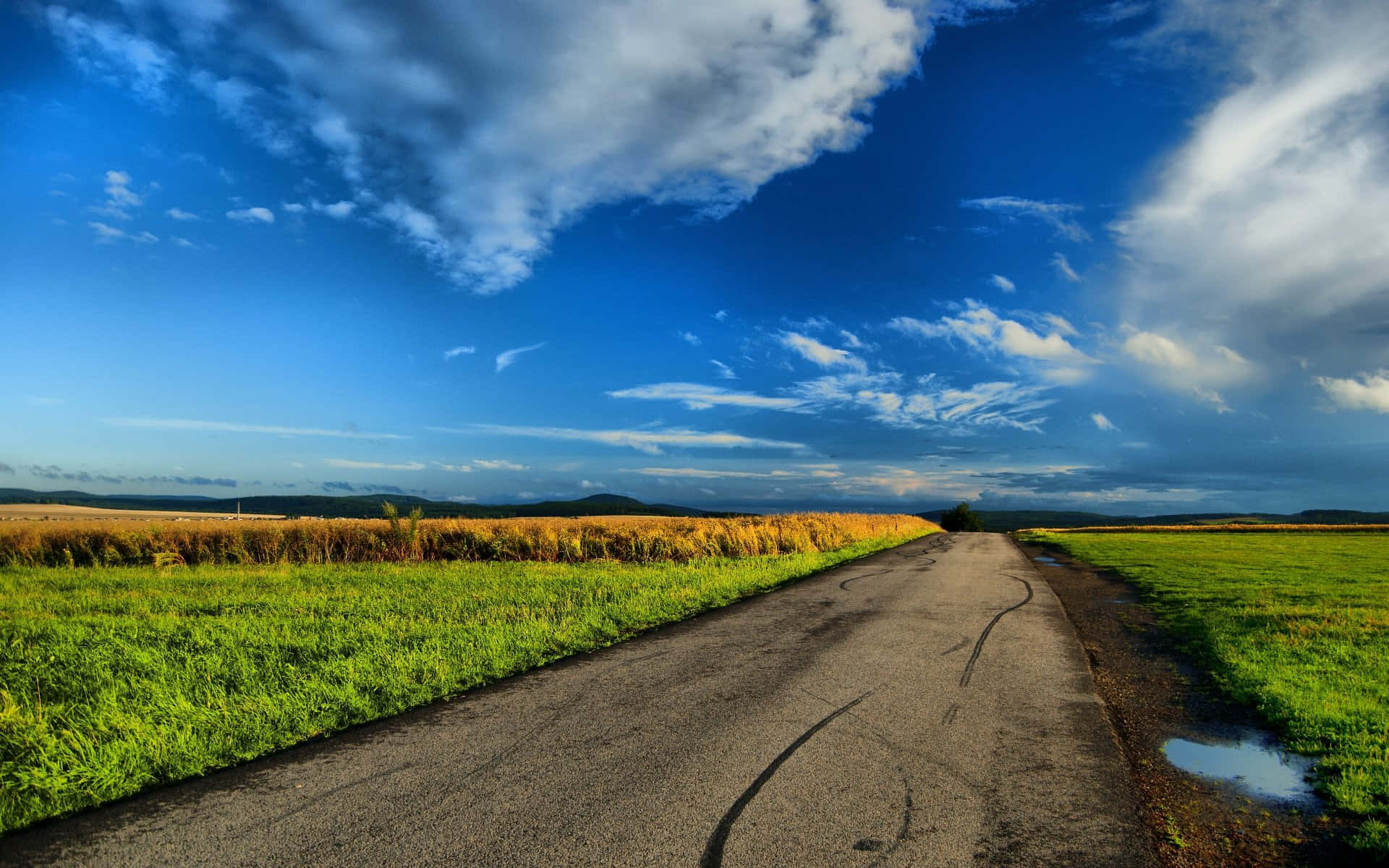 鄉村道路草地與天空背景 壁紙 — 一條蜿蜒的瀝青路穿過充滿活力的綠色田野和金黃色的小麥，在廣闊的藍天下，點綴著散落的白色雲朵。