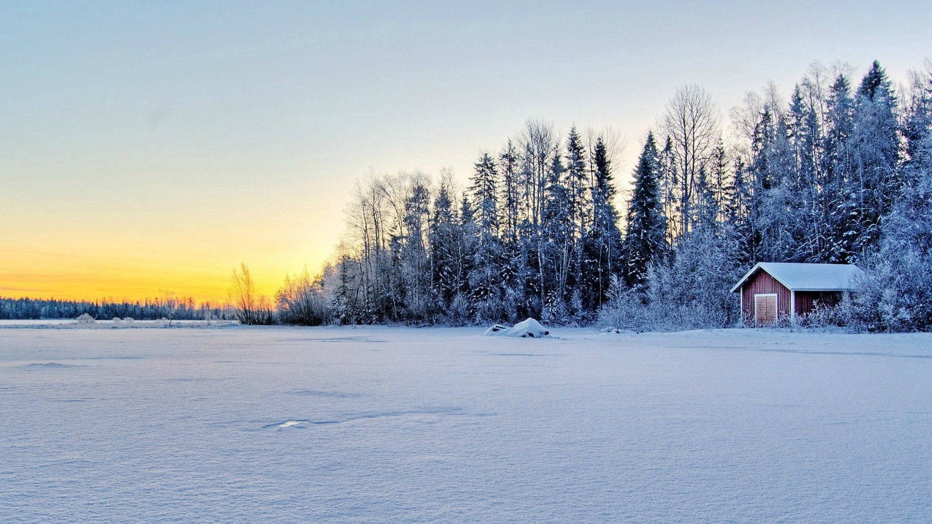 冬日夕陽下的雪地紅屋與霜樹