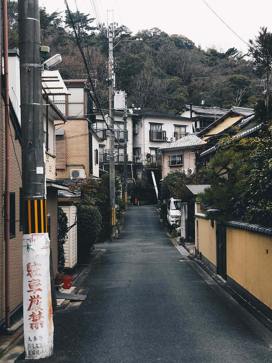 日本住宅區一條狹窄寧靜的街道，有傳統房屋和茂密的植被。