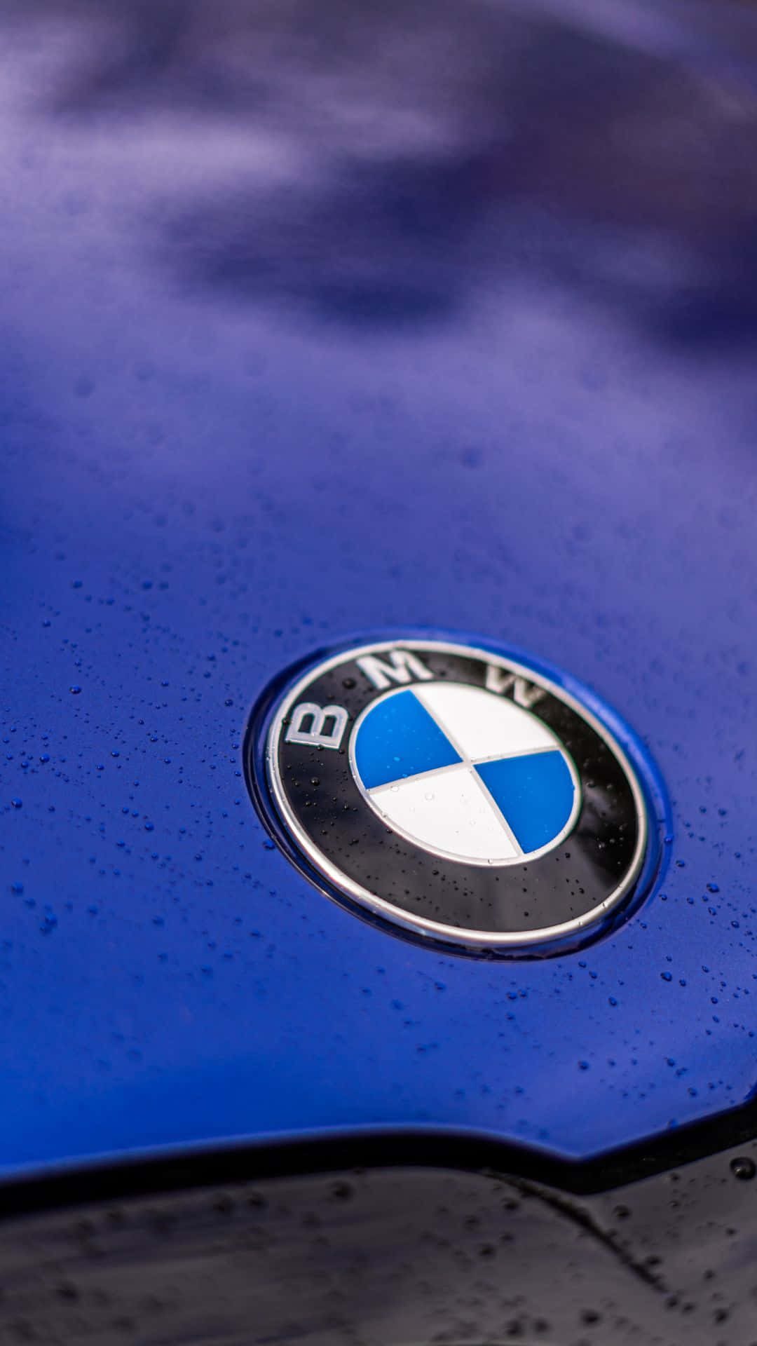 配備安卓系統的BMW轎車，帶您以時尚方式前往任何目的地 壁紙 — BMW 標誌特寫，位於光面藍色引擎蓋上，在柔和光線下佈滿雨滴。