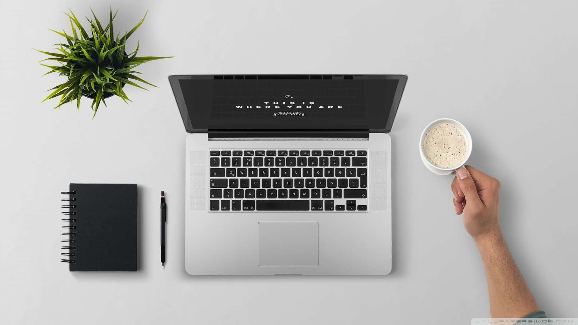 Hand holding coffee cup beside laptop notebook and plant on clean desk.