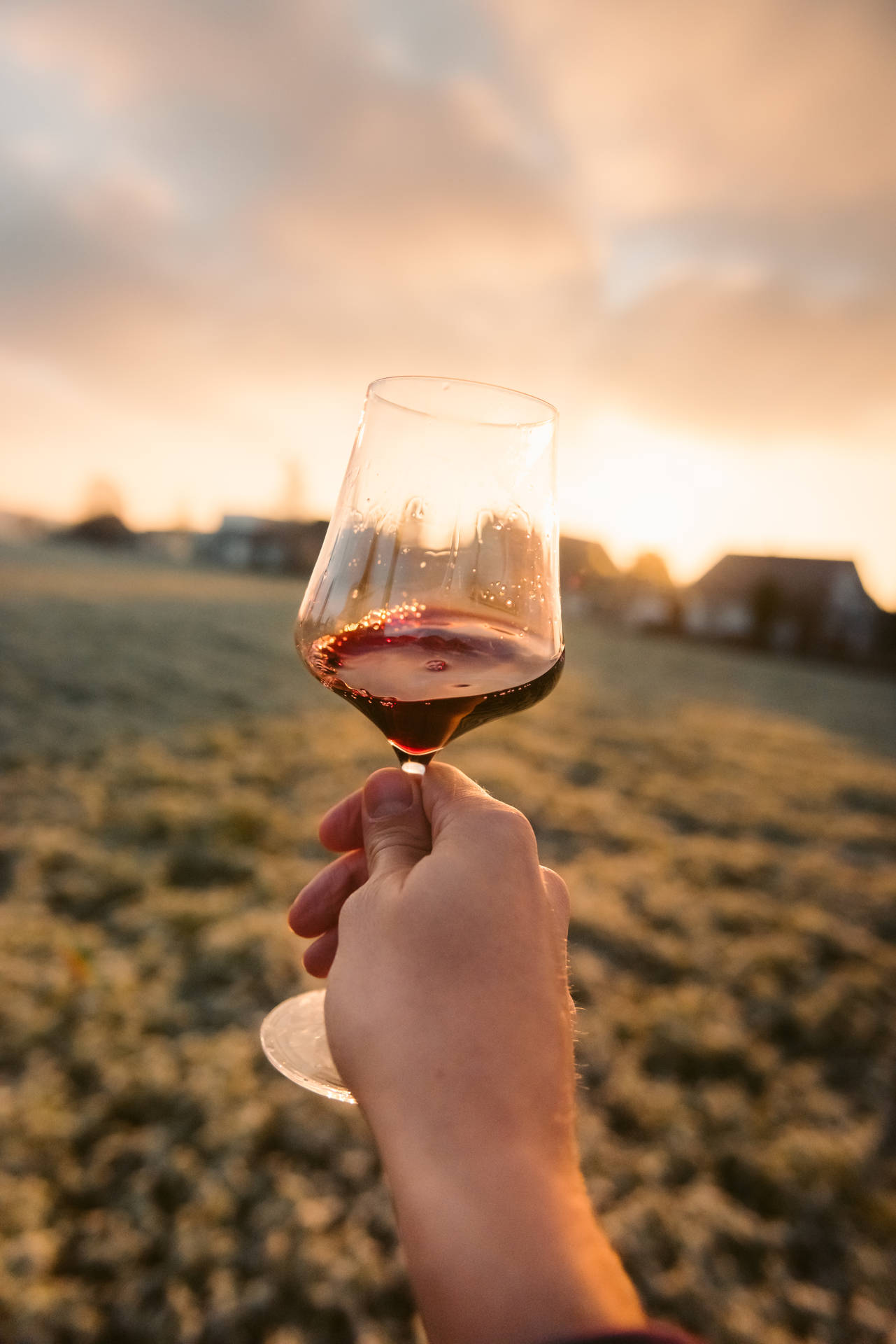 夕陽下霜凍田野上舉起酒杯的手
