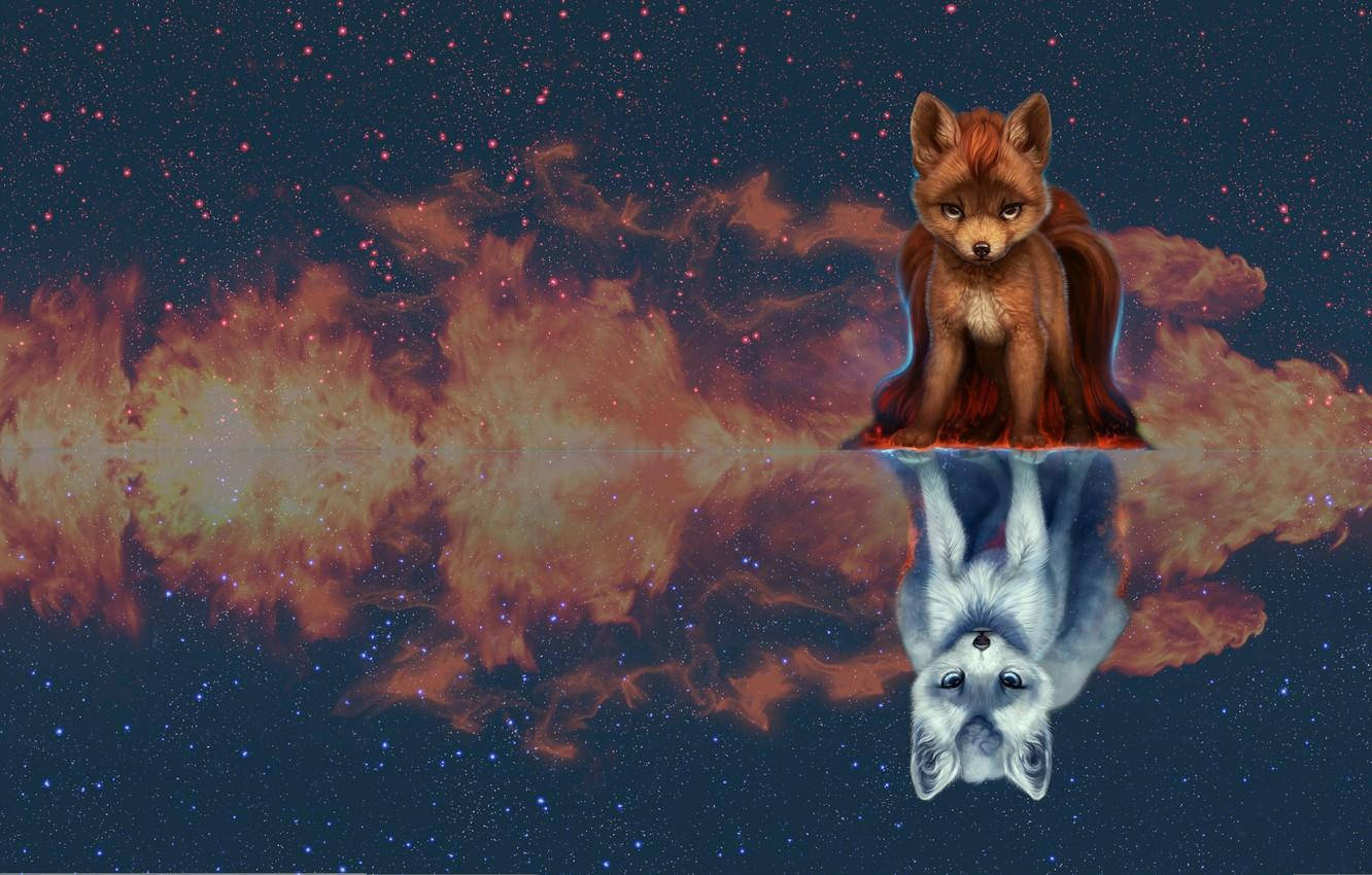 一隻狐狸棲息在熾熱星雲上，在太空中呈現上下顛倒的鏡像倒影。