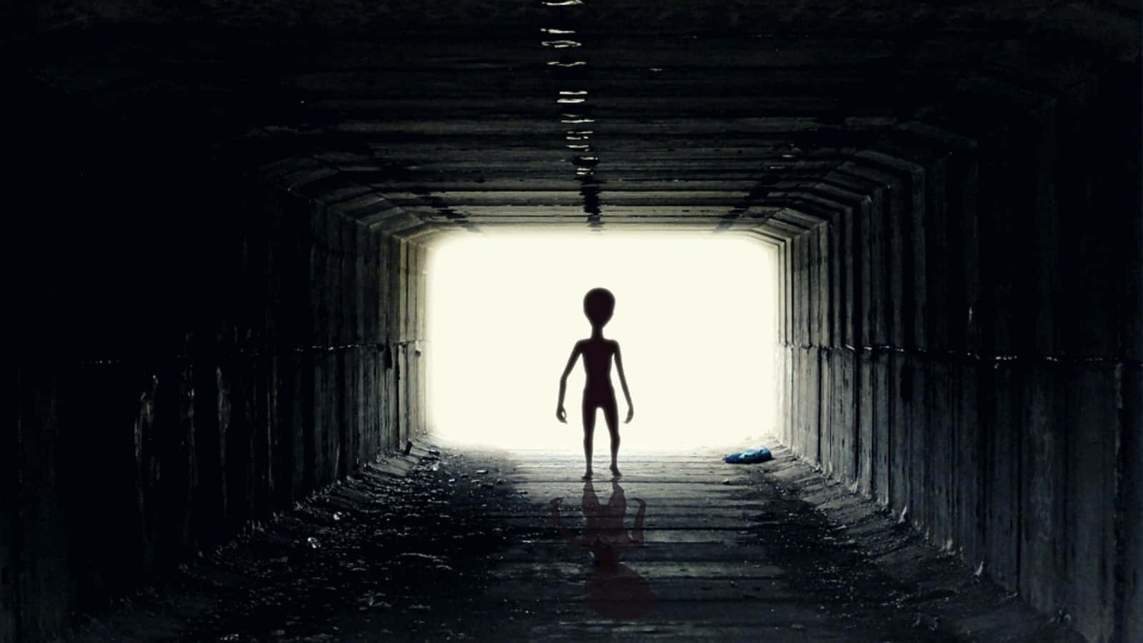 酷炫外星人隧道怪異圖像 壁紙 — 一個剪影外星人站在黑暗潮濕的隧道盡頭，被出口的明亮光線沐浴。