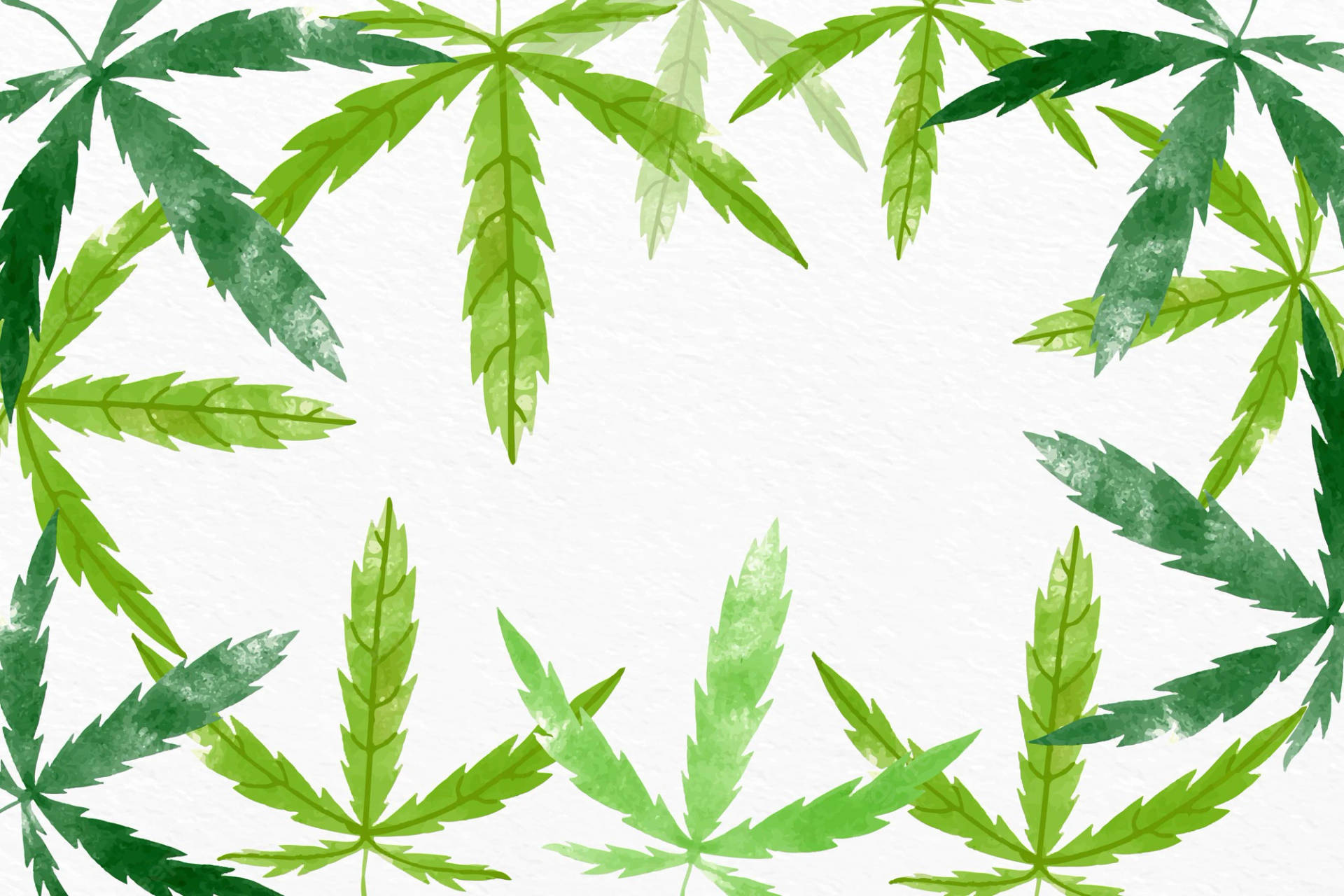 綠色大麻葉在白色紋理背景上排列成圓形水彩框架。