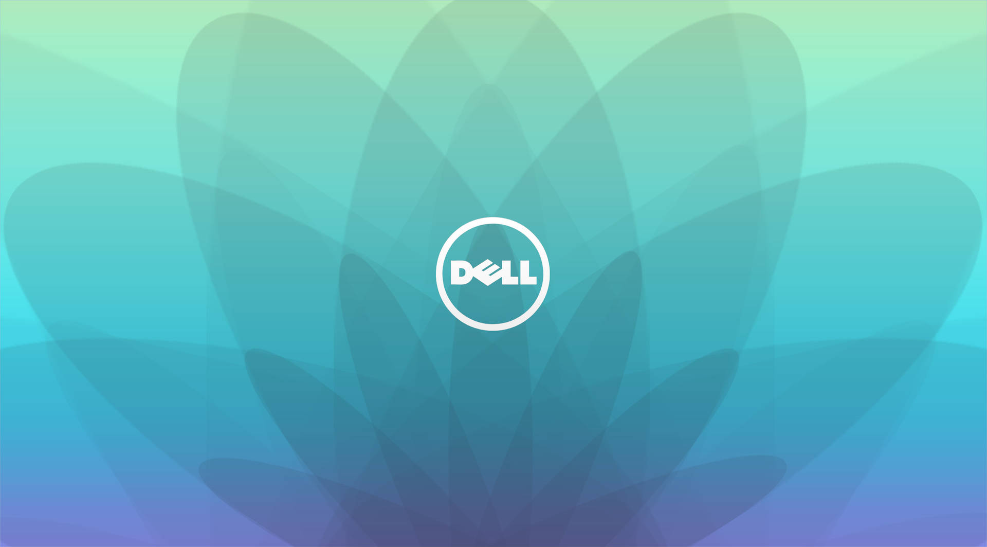 Dell 標誌在抽象青綠色和藍色漸變背景上，帶有花瓣形狀。