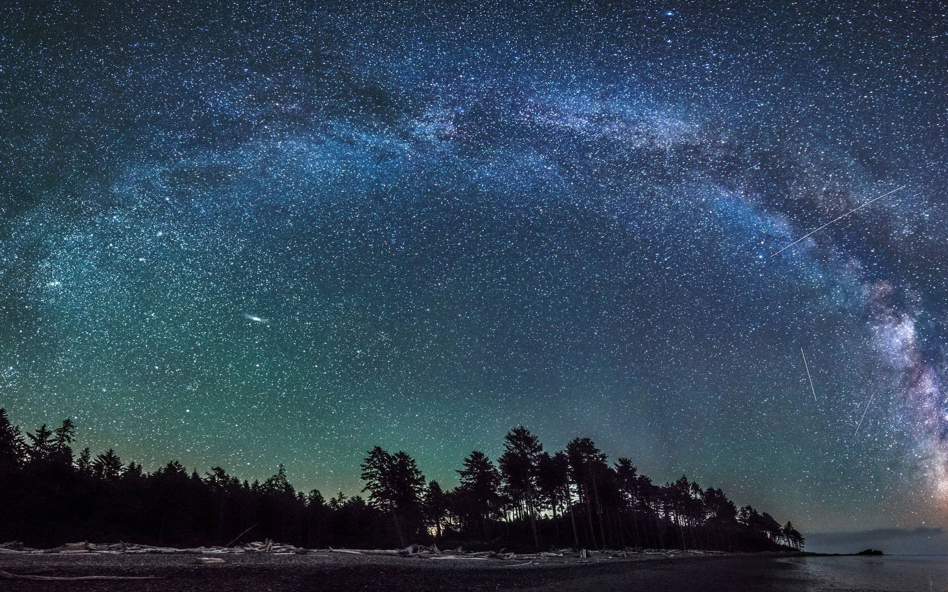 酷炫星系海灘景觀 壁紙 — 一個令人屏息的夜空，佈滿繁星，銀河在水邊的黑暗森林輪廓上拱起。