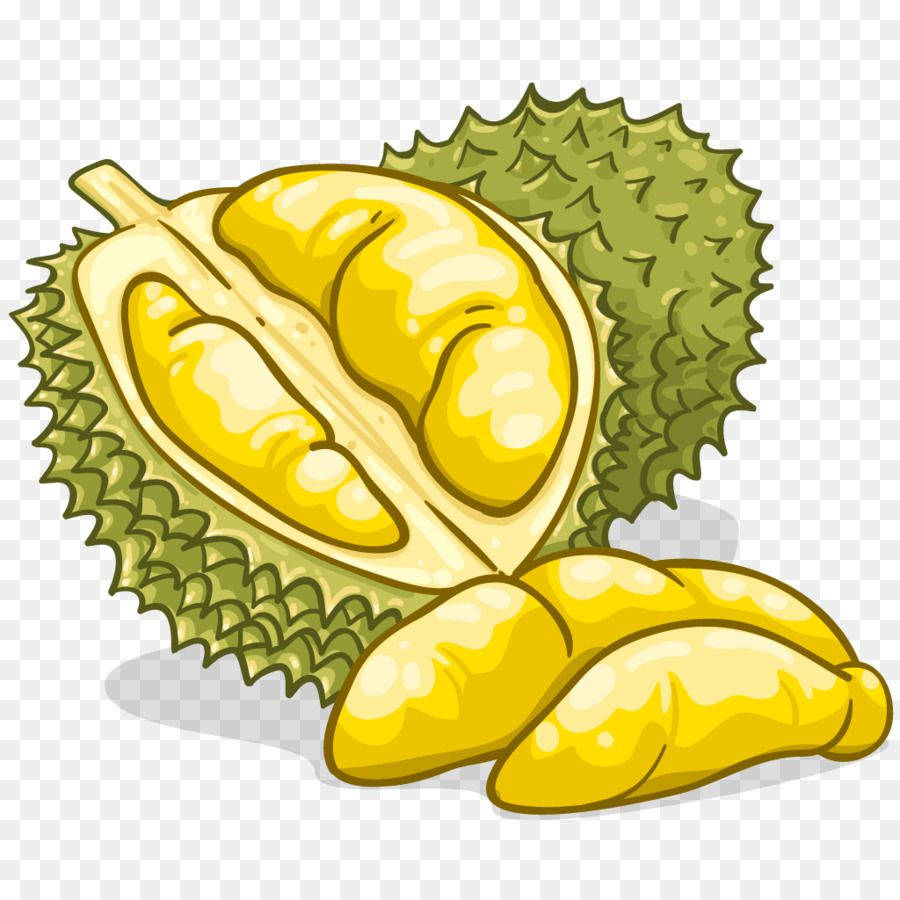 插圖榴槤生果，有帶刺綠色外殼同忌廉黃色果肉。