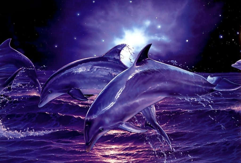 海豚在紫色海洋波浪中跳躍，下方是星光璀璨的夜空和一輪明亮的月亮。 — 動物 壁紙