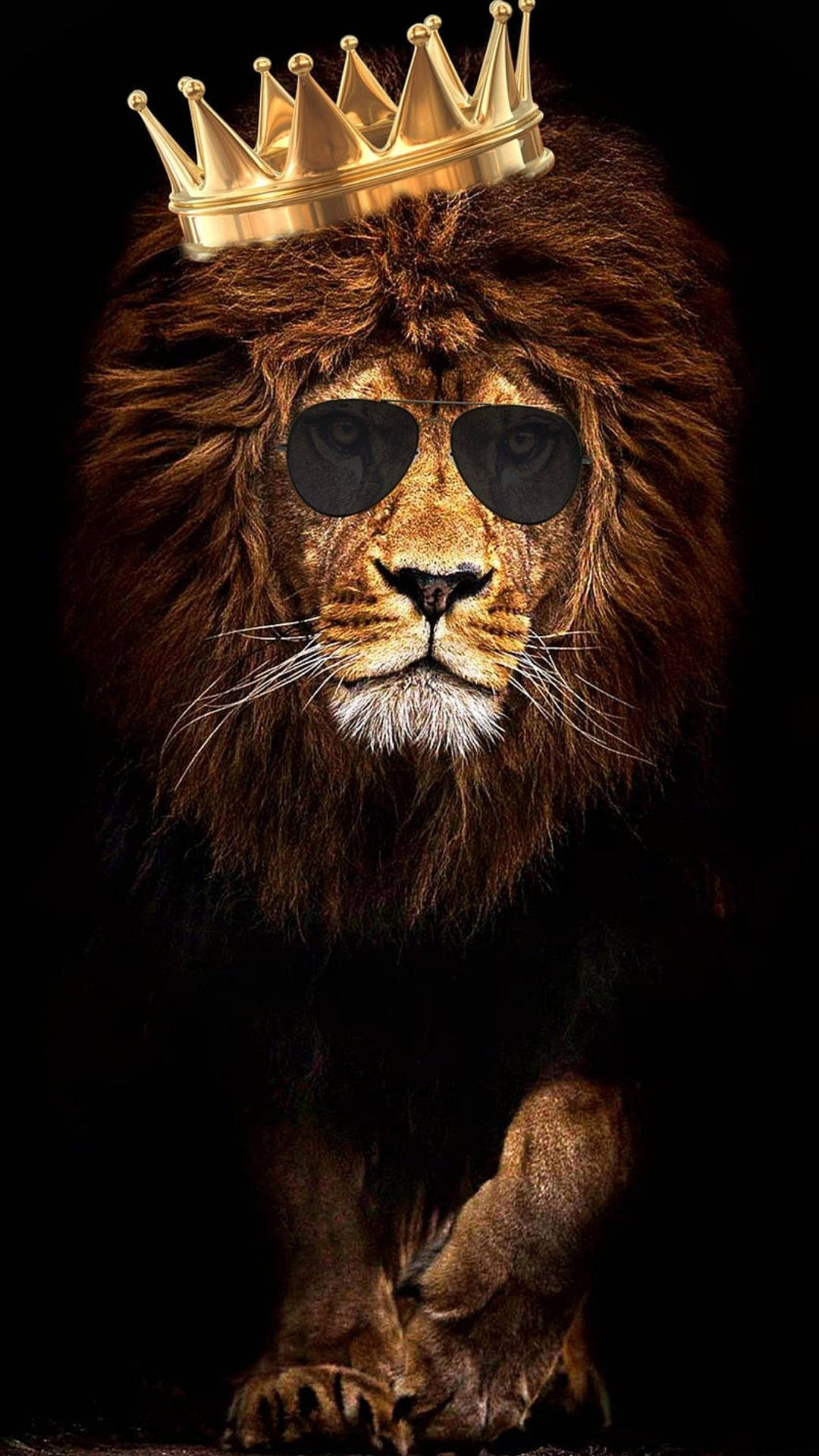 酷炫獅王 壁紙 — 一頭雄偉的獅子戴着金色王冠和太陽眼鏡，在黑色背景前自信地凝視。