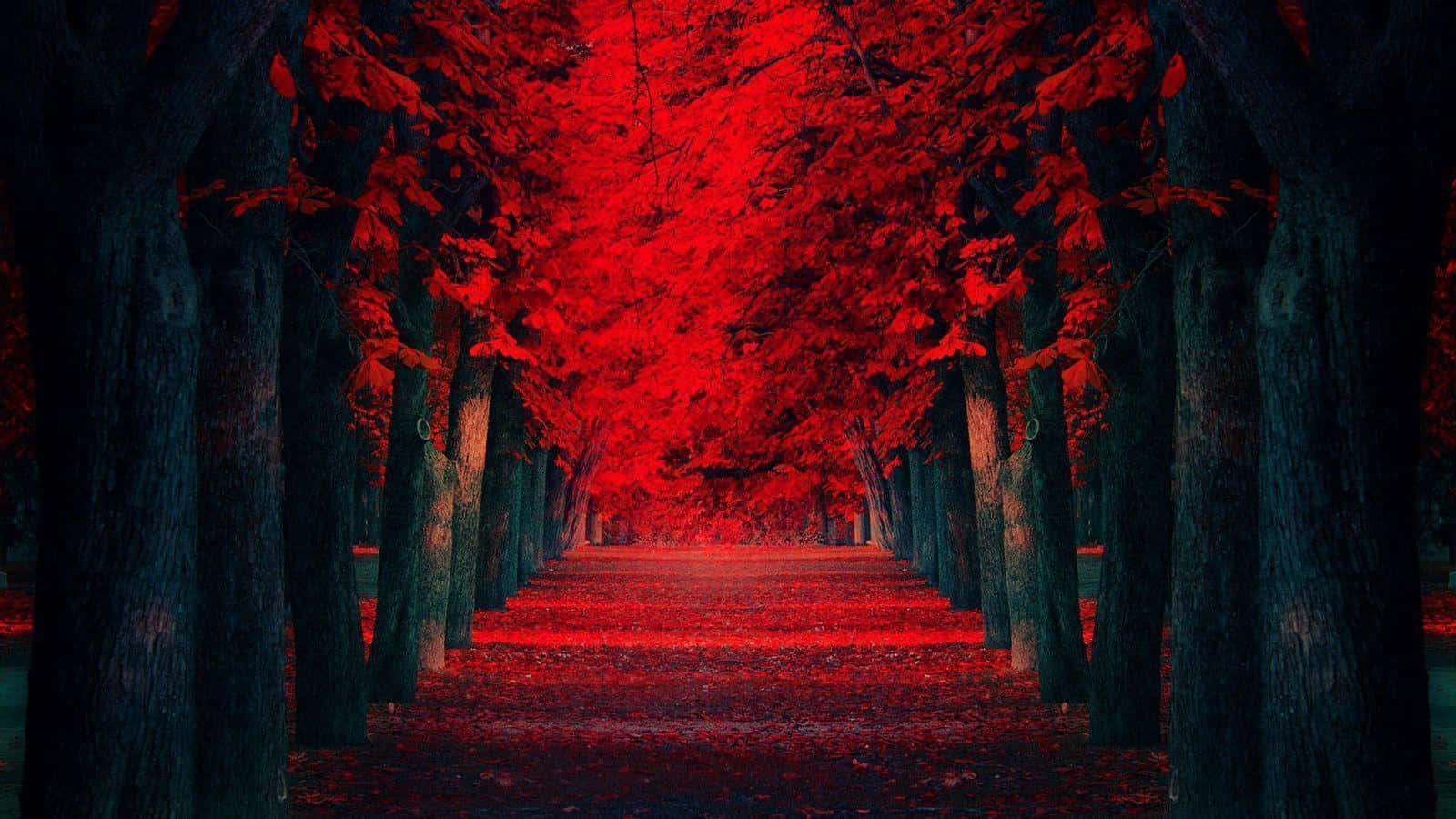 一條黑暗的森林小徑，發光的紅葉在頭頂形成隧道。