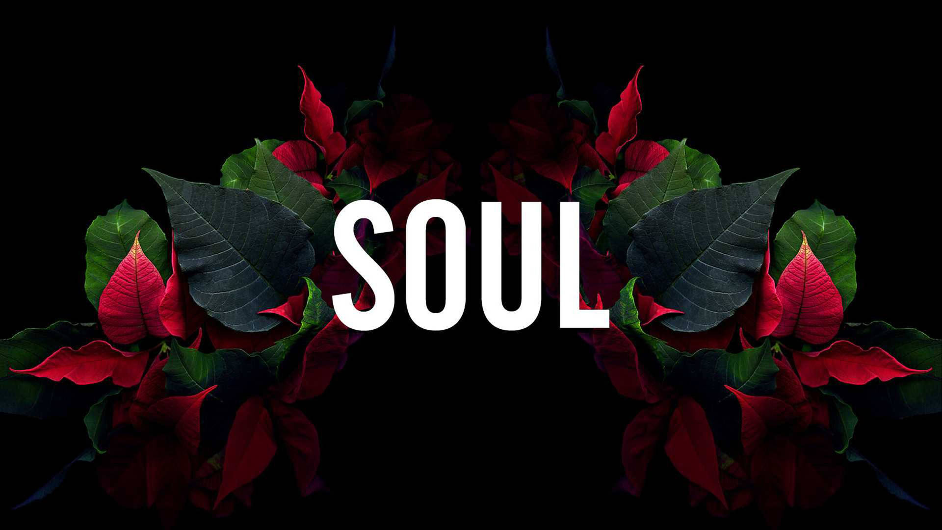 粗體白色文字 SOUL 被紅色聖誕紅花朵和綠色葉子框住，背景為黑色。