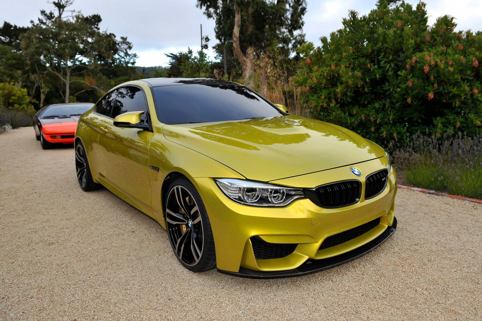 黃色BMW M4停在碎石上，後面有綠色灌木和一輛紅色汽車。
