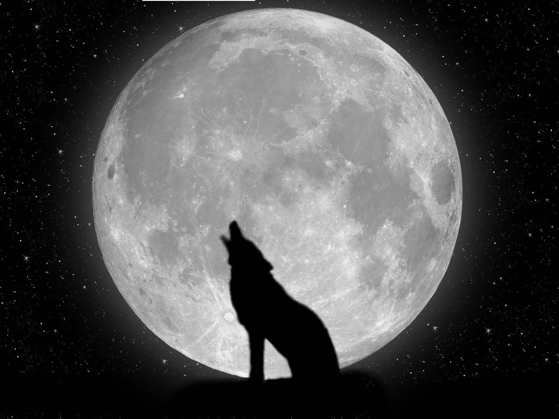 酷狼與月亮 壁紙 — 一匹孤狼的剪影，在滿天星斗的夜空下，對著巨大而細節豐富的月亮嚎叫。