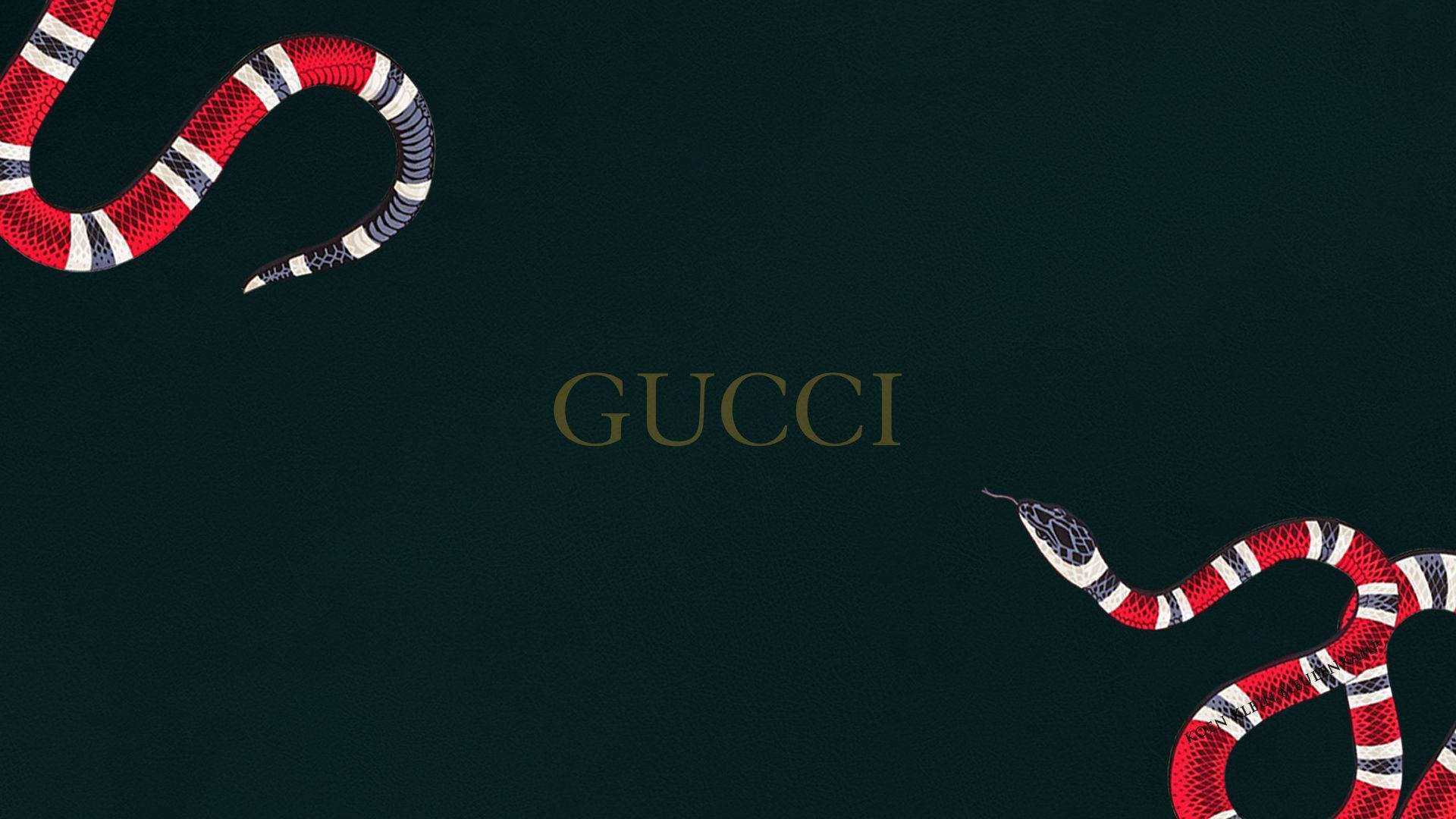 兩條圖案蛇圍繞著Gucci標誌，背景為深綠色。
