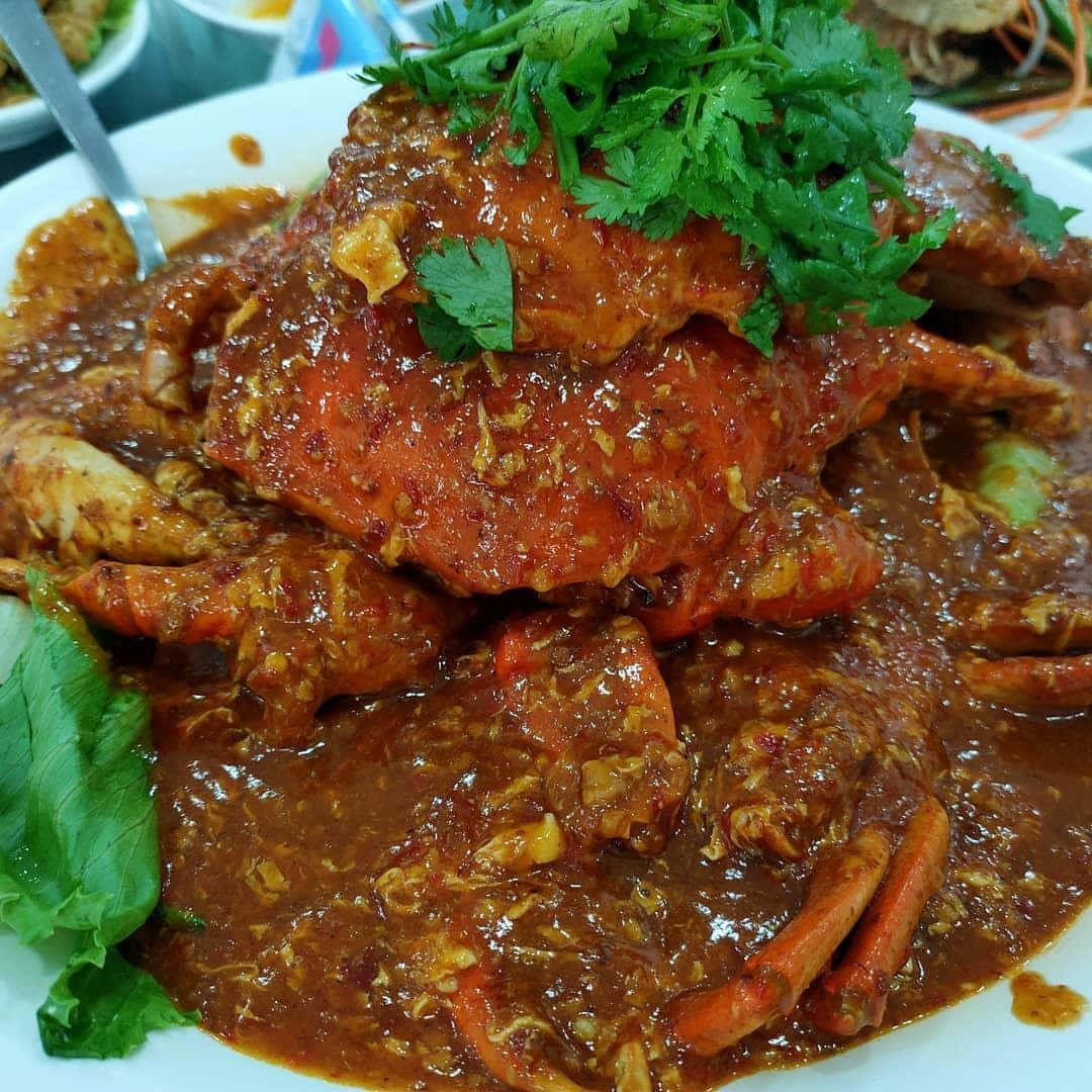 醬汁辣椒蟹 壁紙 — 特寫鏡頭：一碟香料豐富的蟹肉菜餚，上面放上新鮮芫荽，盛載於白色碟上。