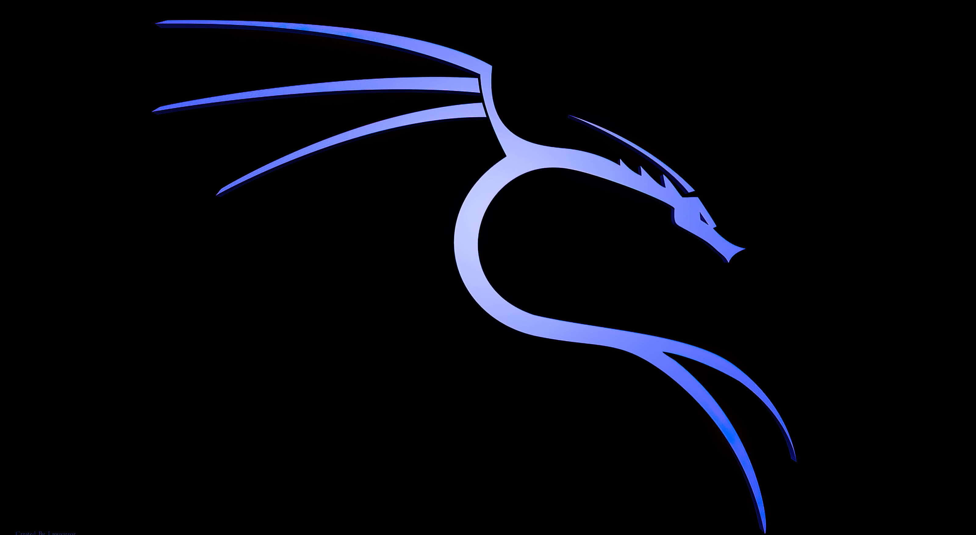 釋放 Kali Linux 的強大潛力 壁紙 — 一條時尚的藍色龍剪影在純黑色背景上發光，帶有漸變陰影。