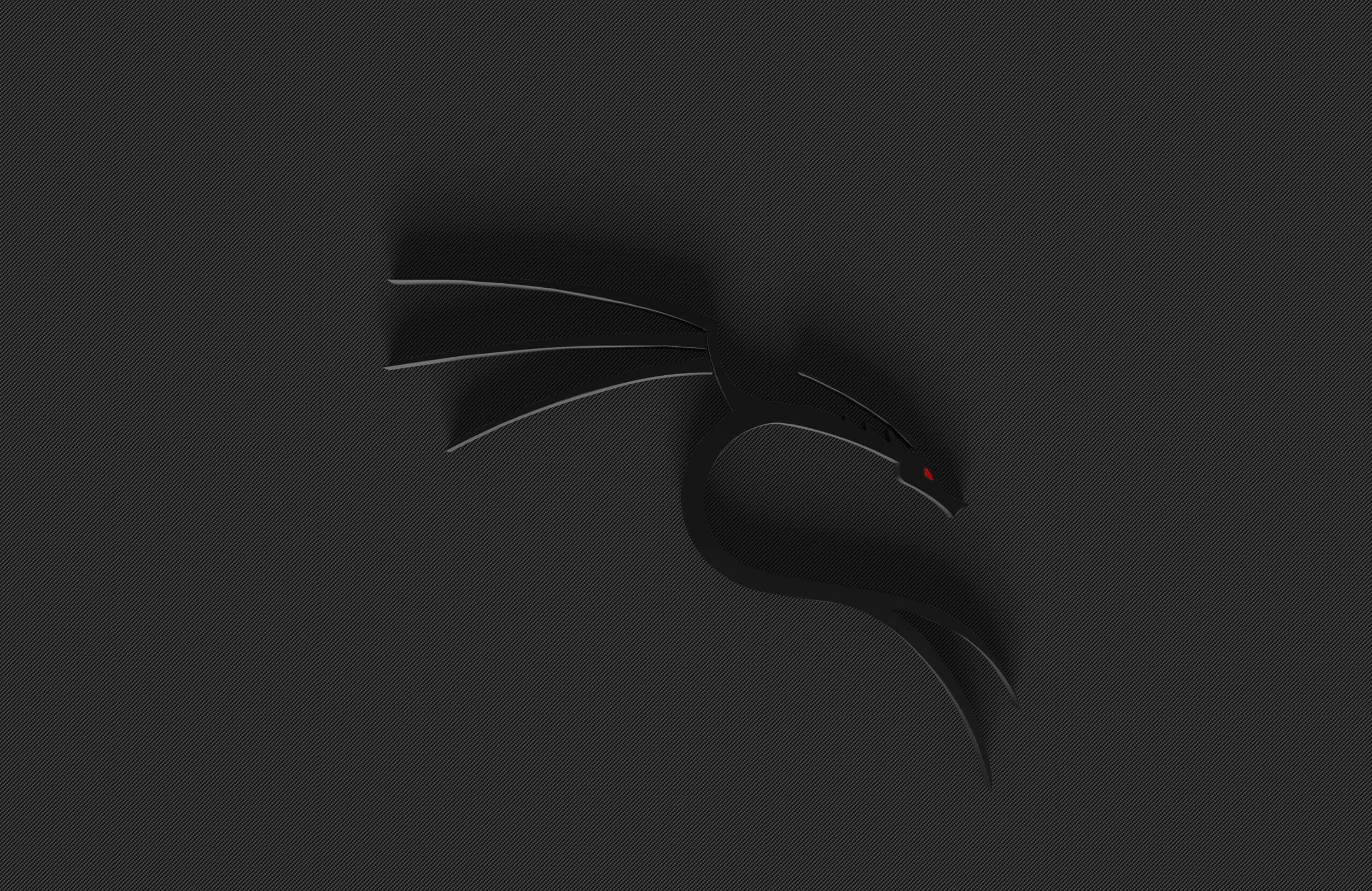釋放 Kali Linux 的強大效能 壁紙 — 一條光滑的黑龍，帶有發光的紅眼睛，在黑暗的紋理表面上休息，投下柔和的陰影。