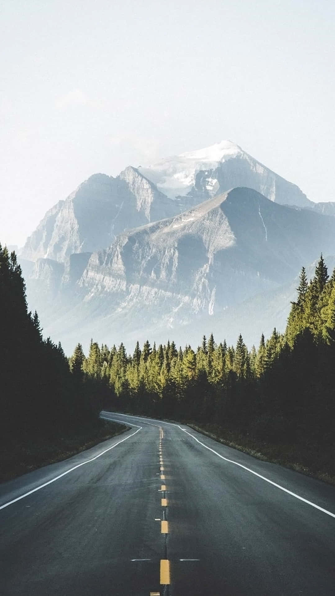 蜿蜒的道路穿過松樹林通往雪山