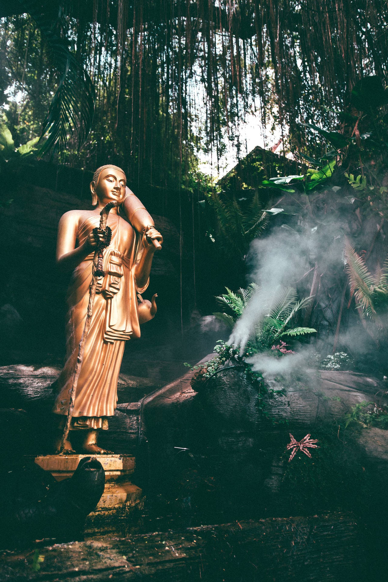 叢林寺廟中的金色佛像，岩石上霧氣升騰