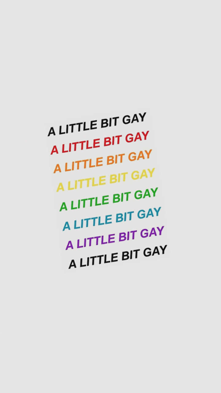 彩虹色文字在灰色背景上重複 'A LITTLE BIT GAY'。