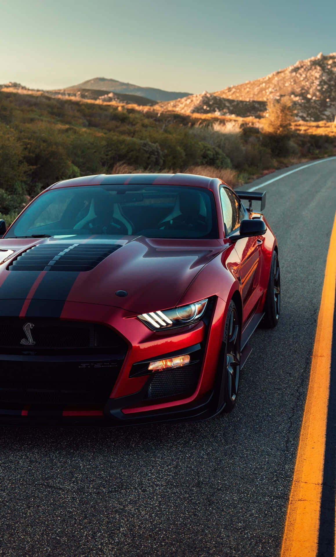 紅色 Shelby Mustang GT500 在山路上，日落時分