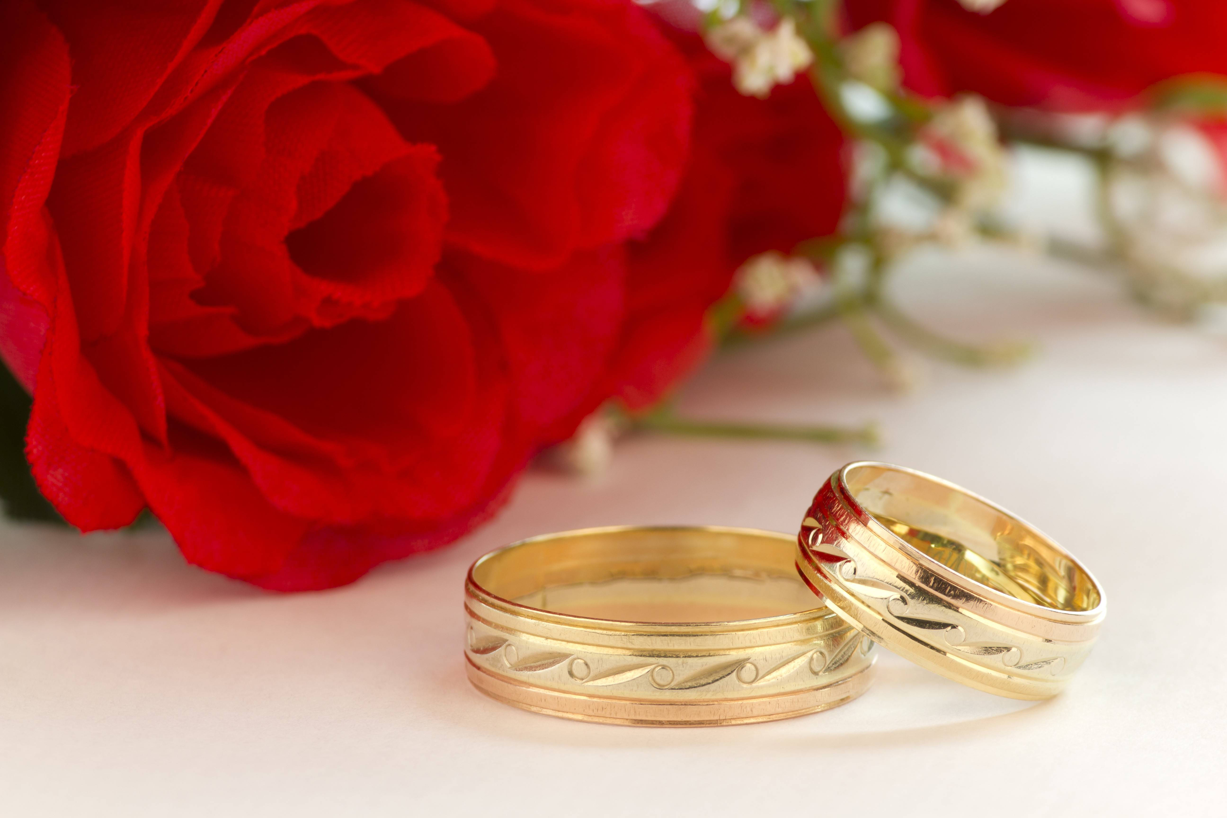 金婚戒與紅玫瑰 壁紙 — 兩枚金色結婚戒指放在柔軟的白色表面上，旁邊是一朵鮮豔的紅玫瑰。