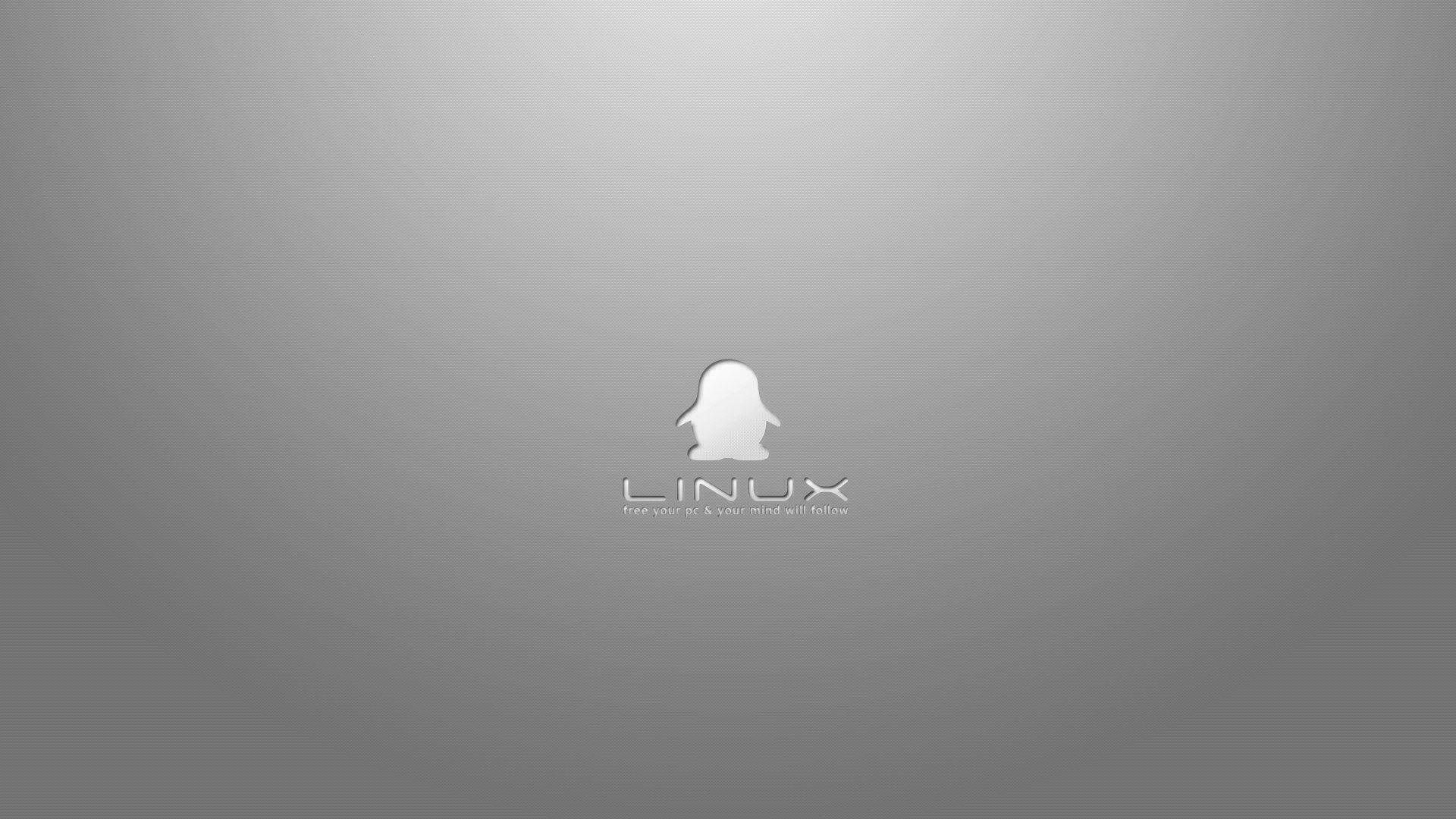 灰色漸變背景上的Linux企鵝標誌及文字