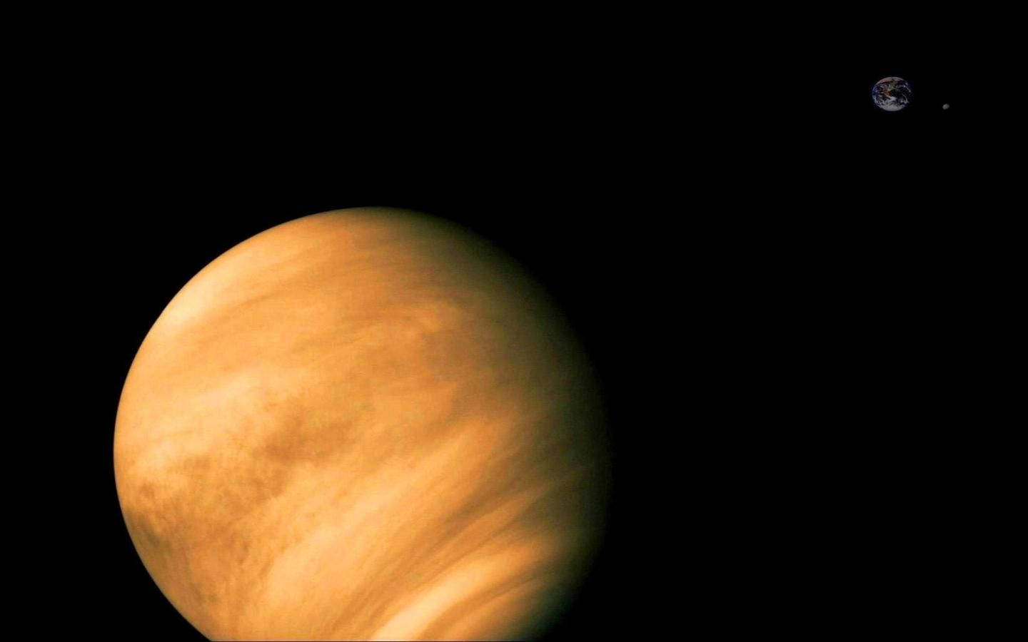 金星傾斜旋轉 壁紙 — 金星以旋轉的橙色雲層主導畫面，而地球在遙遠的黑色虛空中顯得渺小。