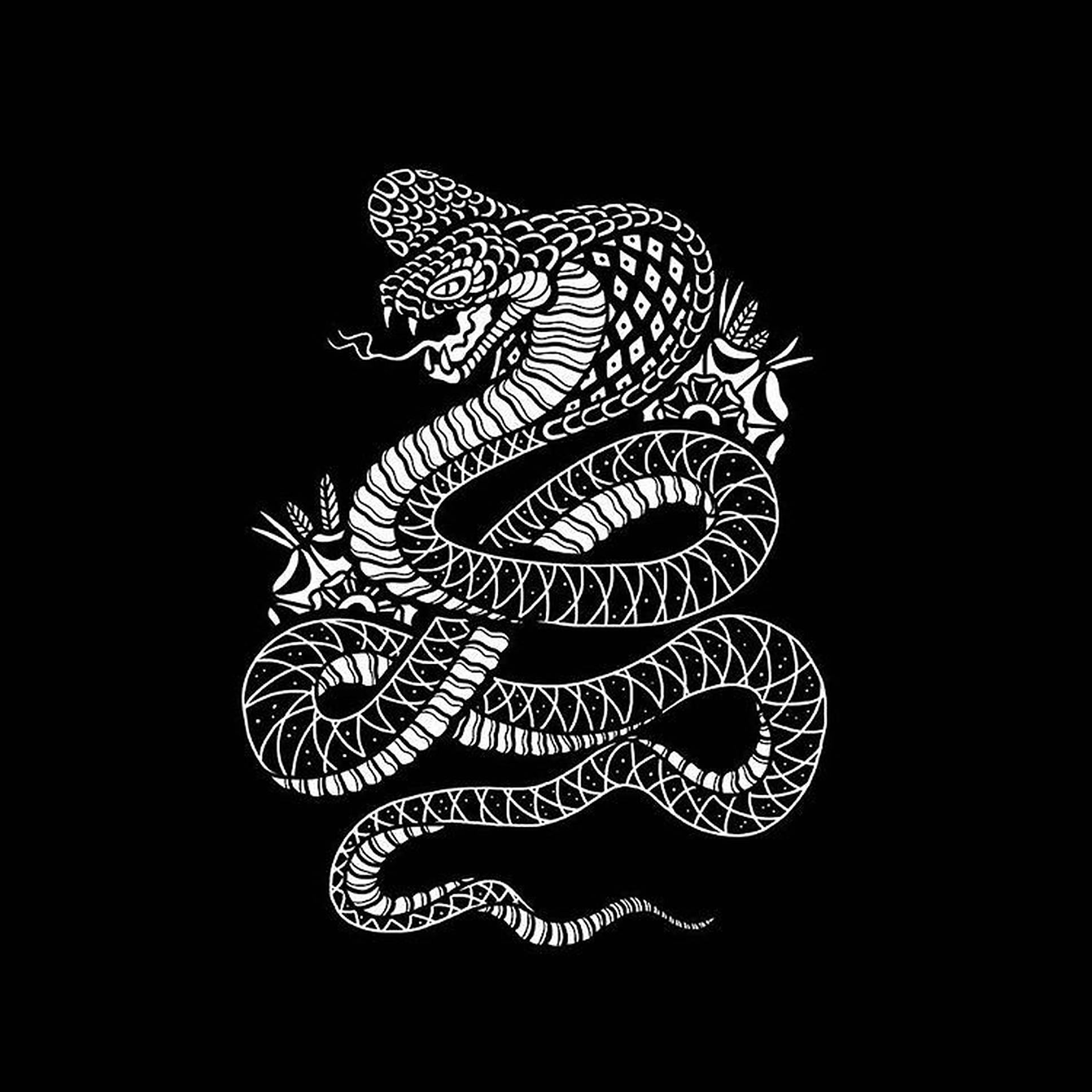 金環蛇黑白藝術畫 壁紙 — 一條圖案複雜的白色眼鏡蛇盤繞著，準備在純黑背景上發動攻擊。