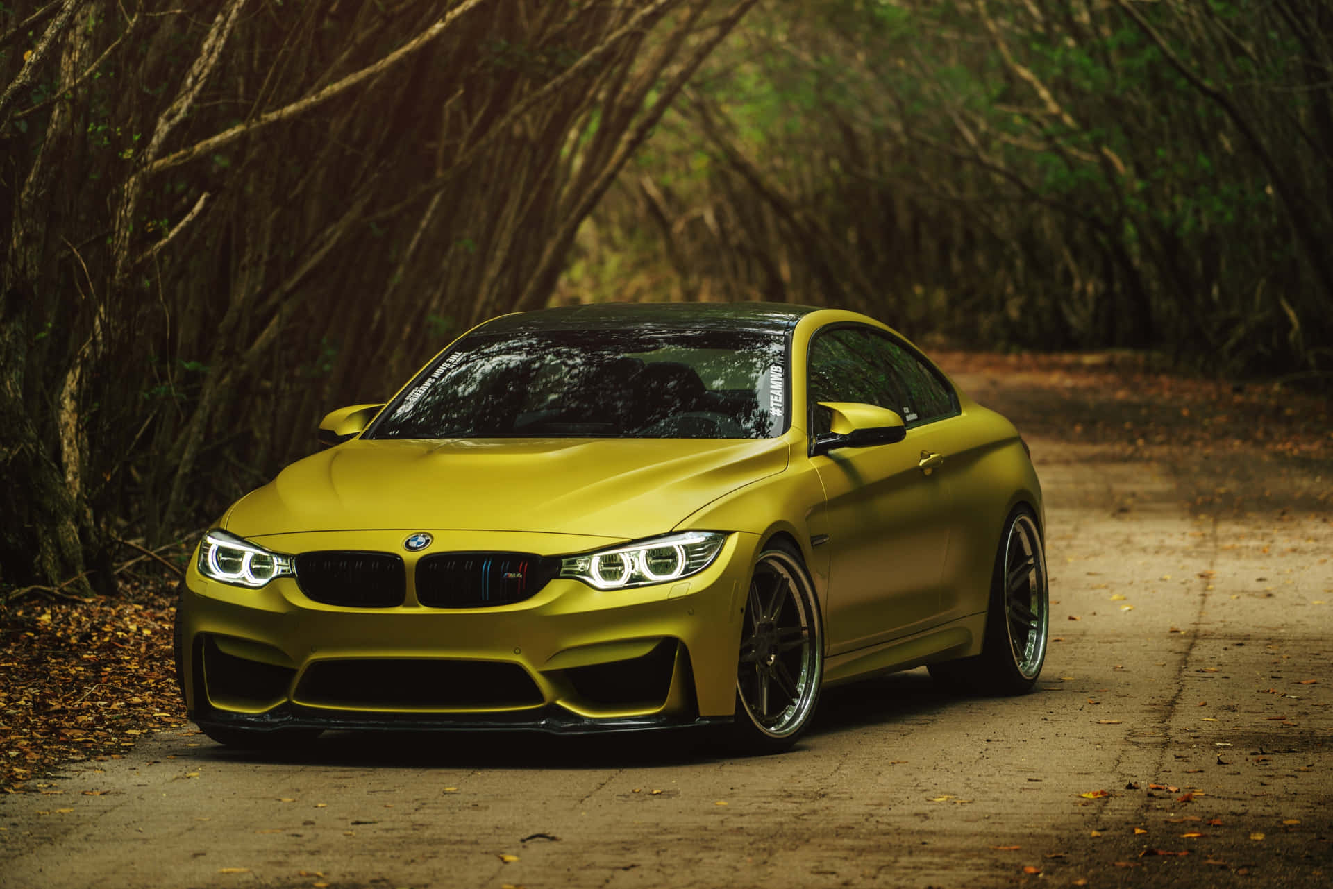 啞光黃色BMW M4跑車停在森林泥路上。