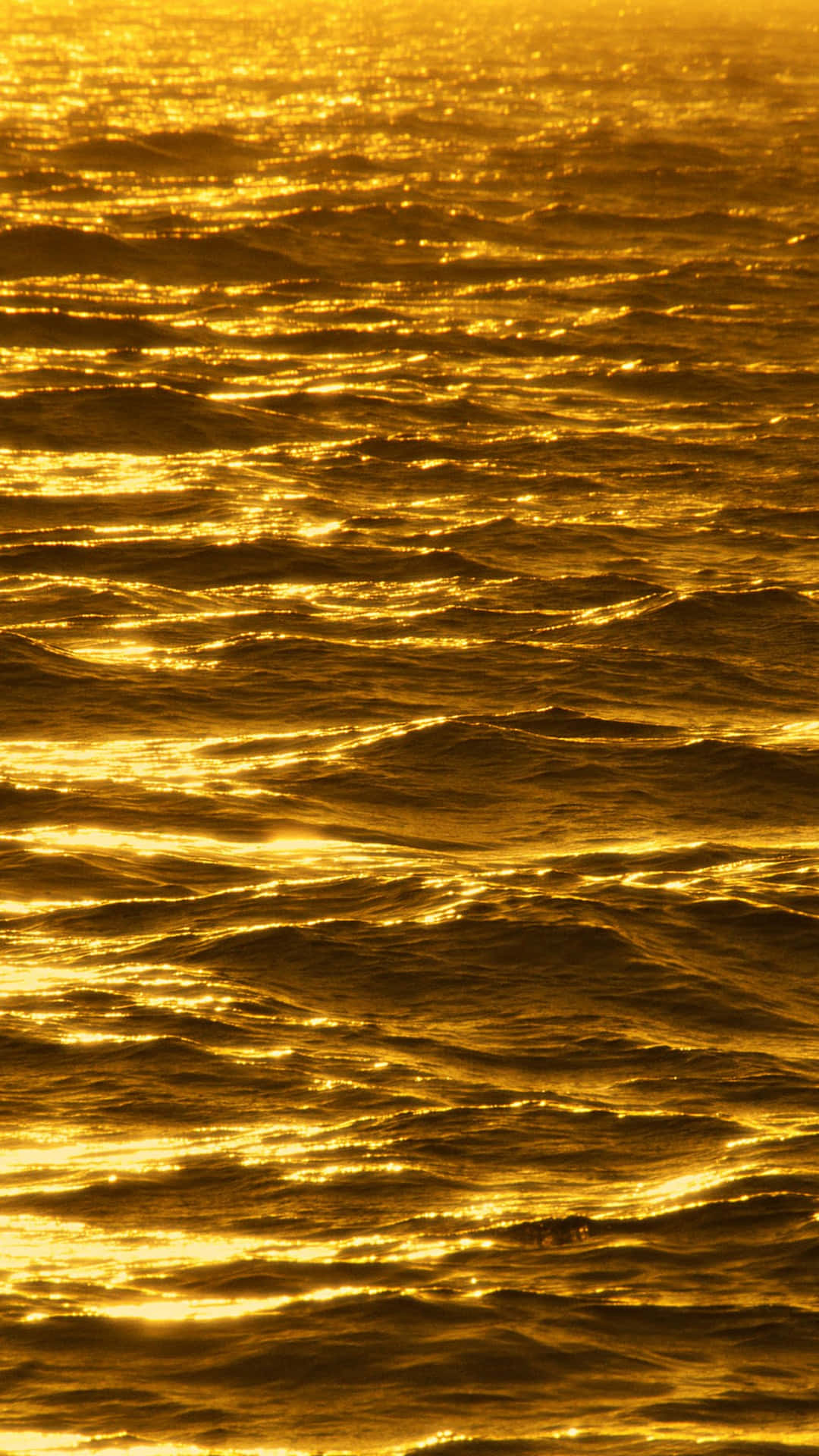 金色夕陽反射在漣漪的海浪上。