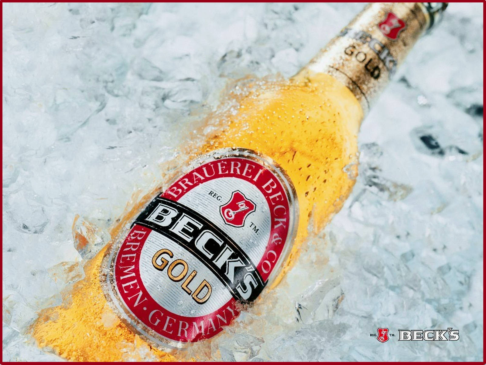 冰凍的 Beck's Gold 啤酒瓶在碎冰中，清涼解渴。