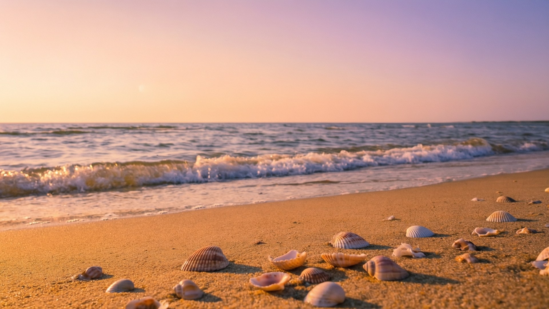沙灘上的貝殼在金色夕陽下，伴隨著溫柔的海浪