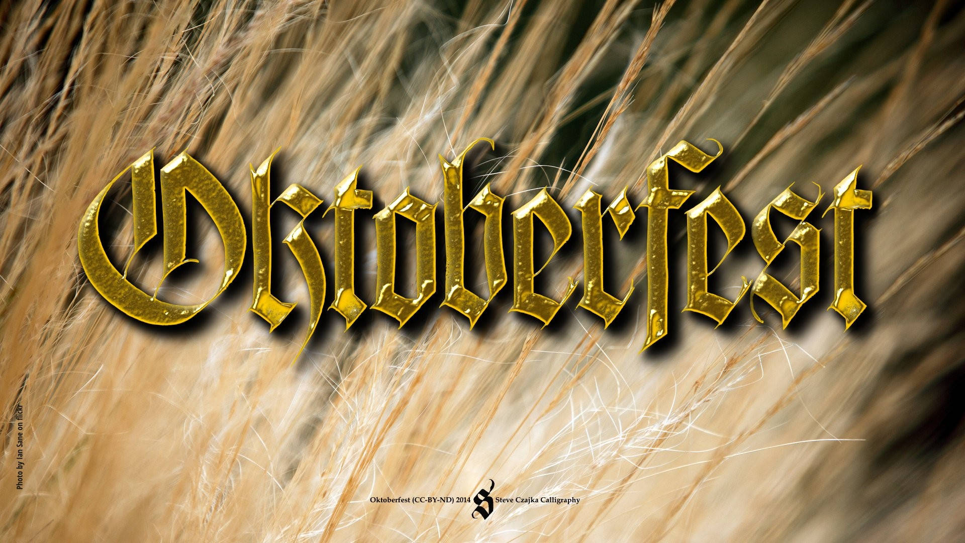 金色十月啤酒節橫幅 壁紙 — 金色嘅 Oktoberfest 字樣喺溫暖秋色中模糊嘅麥穗背景下閃耀。
