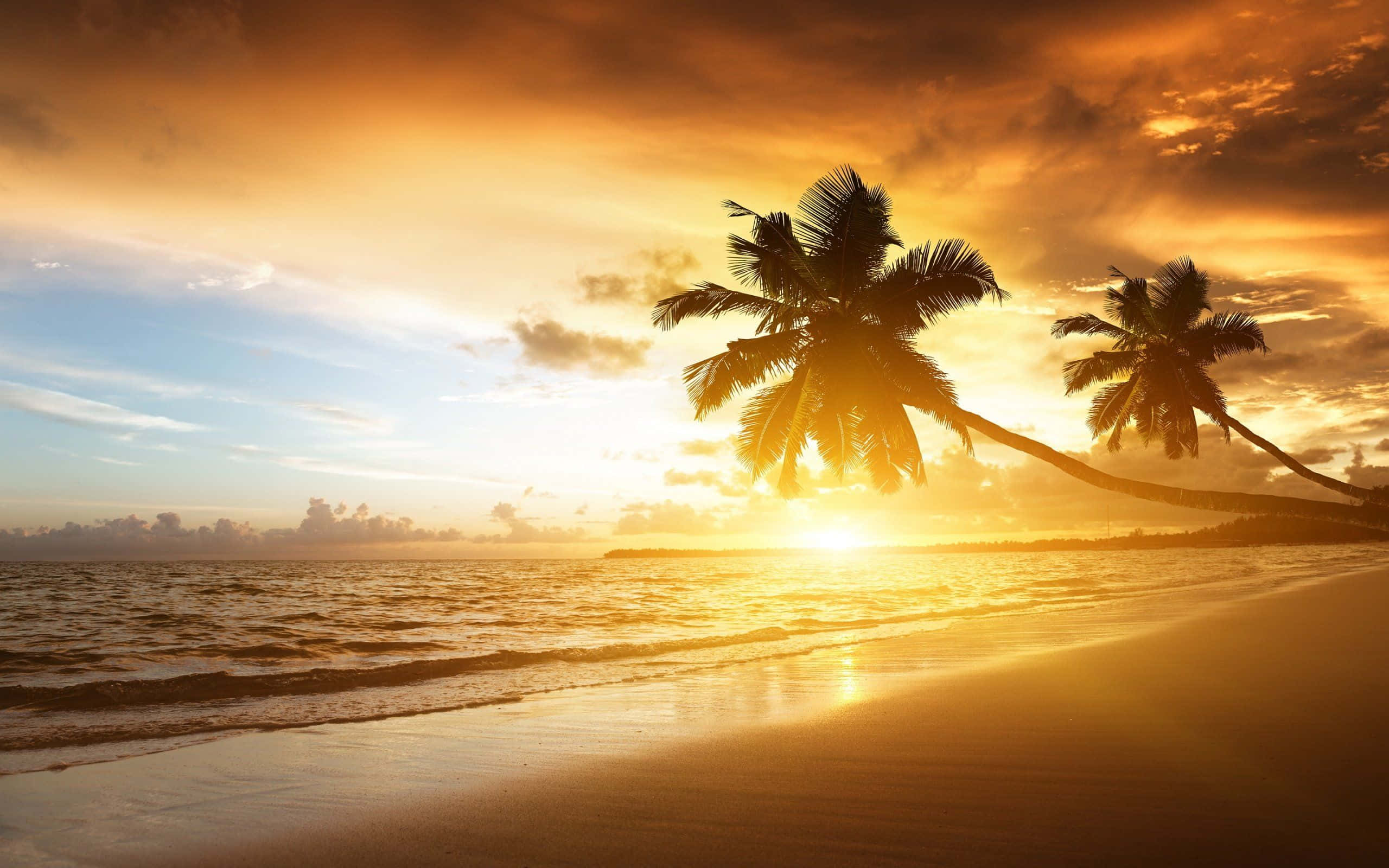 Yellow Beach 桌布 壁紙 — 金色嘅日落喺平靜嘅熱帶海灘上，喺剪影棕櫚樹後面發光，伴隨柔和嘅海浪。
