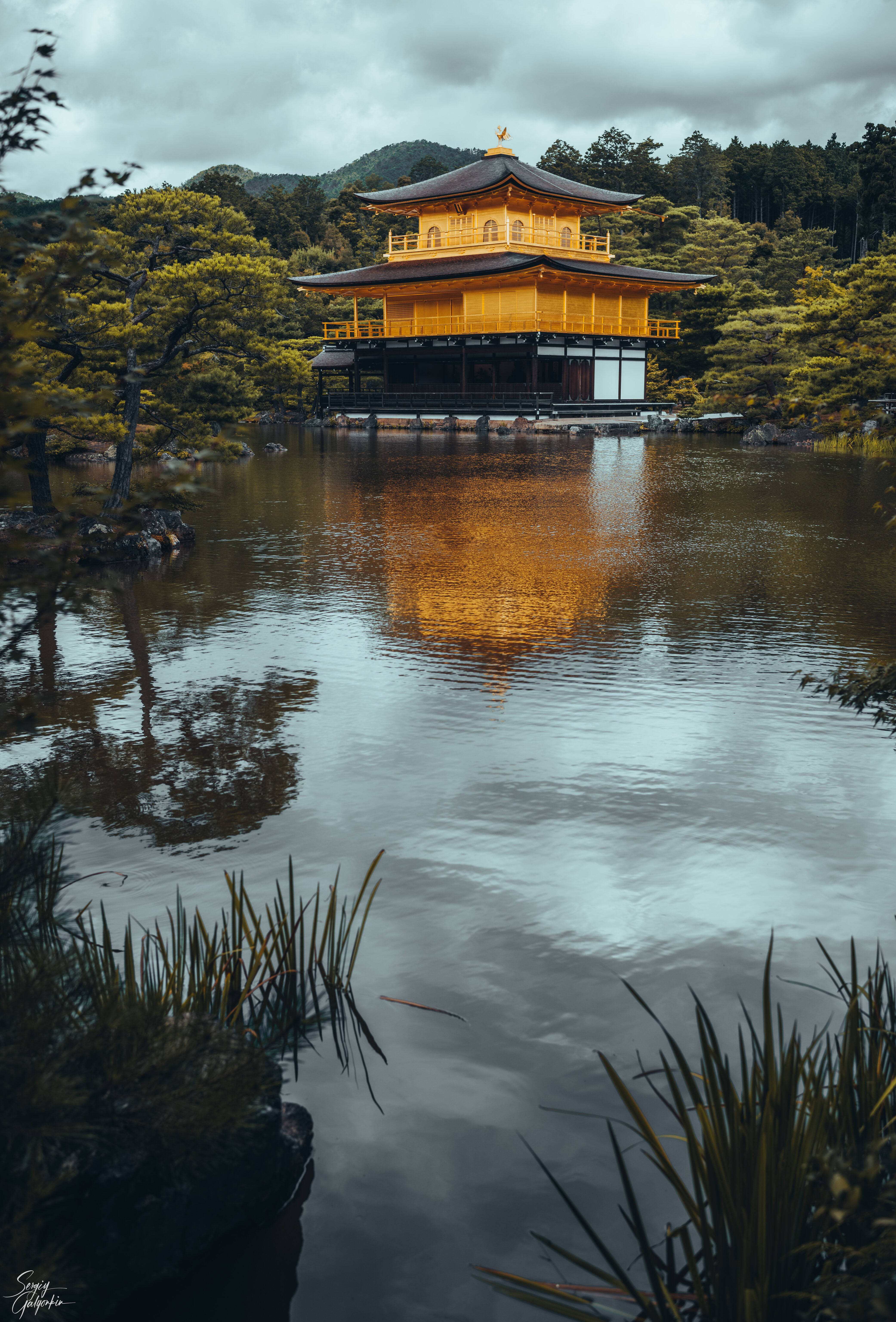 手機 桌布 壁紙 — 金色嘅金閣寺喺多雲嘅天空下，被茂密嘅綠樹環繞，平靜咁倒映喺寧靜嘅水面上。