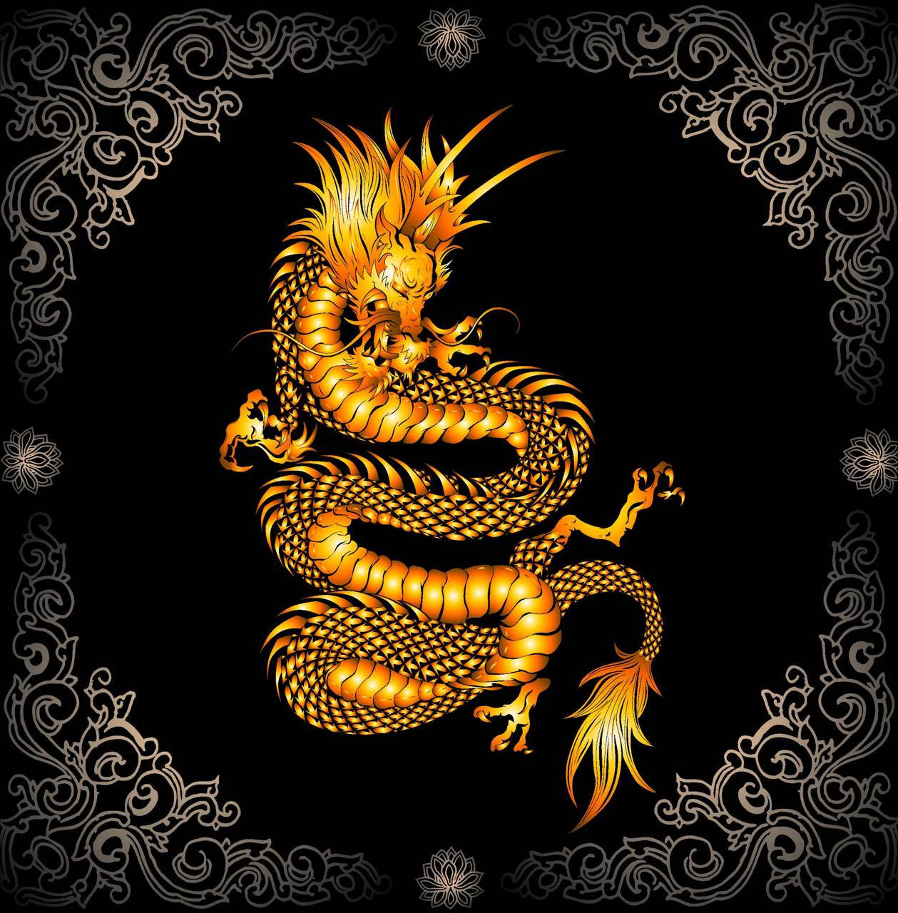 金色四足龍藝術 壁紙 — 一條雄偉的金龍在黑色背景上動態盤繞，周圍環繞著華麗的銀色鏤空圖案。