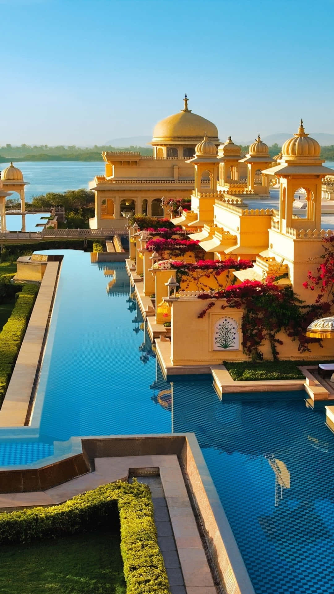 Rajasthan 桌布 壁紙 — 金色圓頂宮殿與鮮豔的紅花，俯瞰著清澈藍天下寧靜的無邊際泳池。