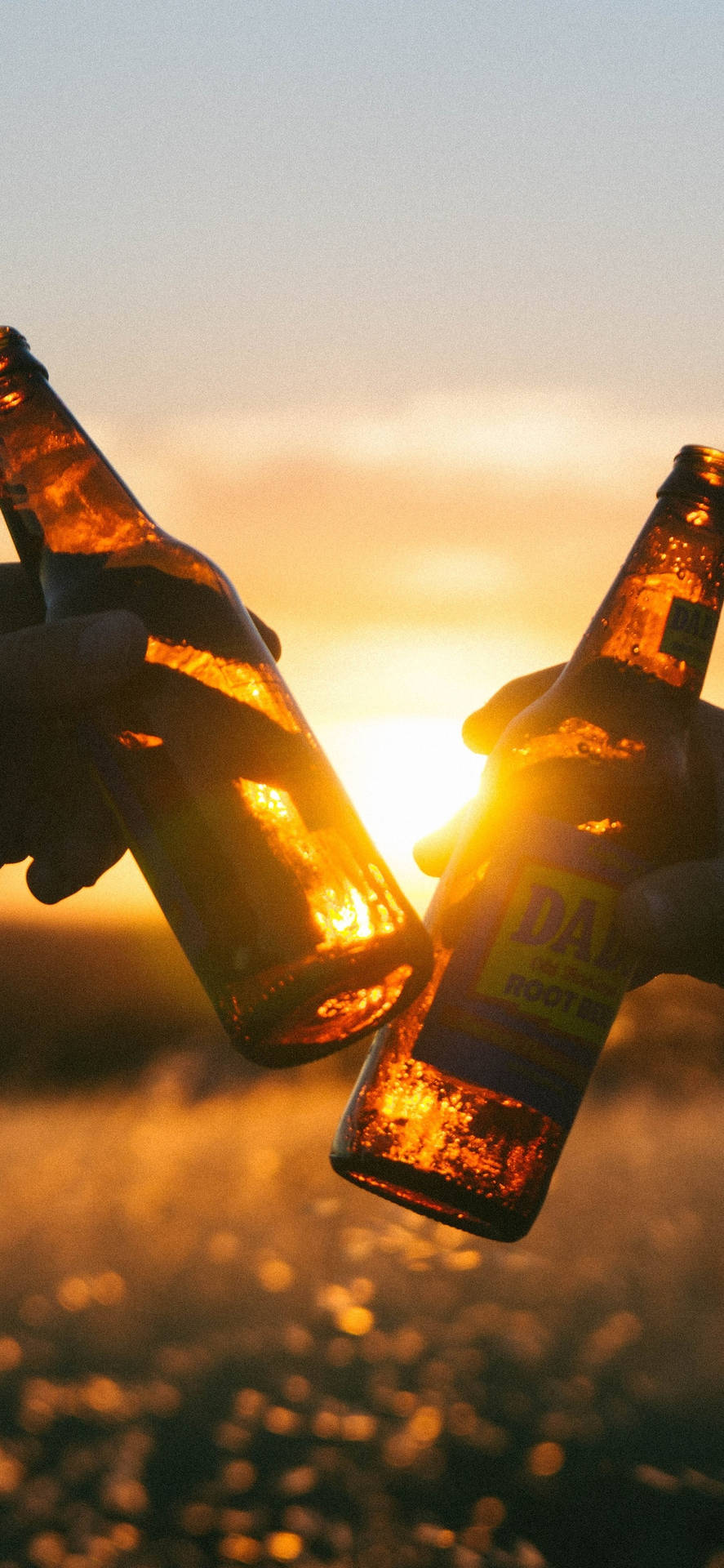 兩隻手在金色夕陽下用啤酒瓶乾杯