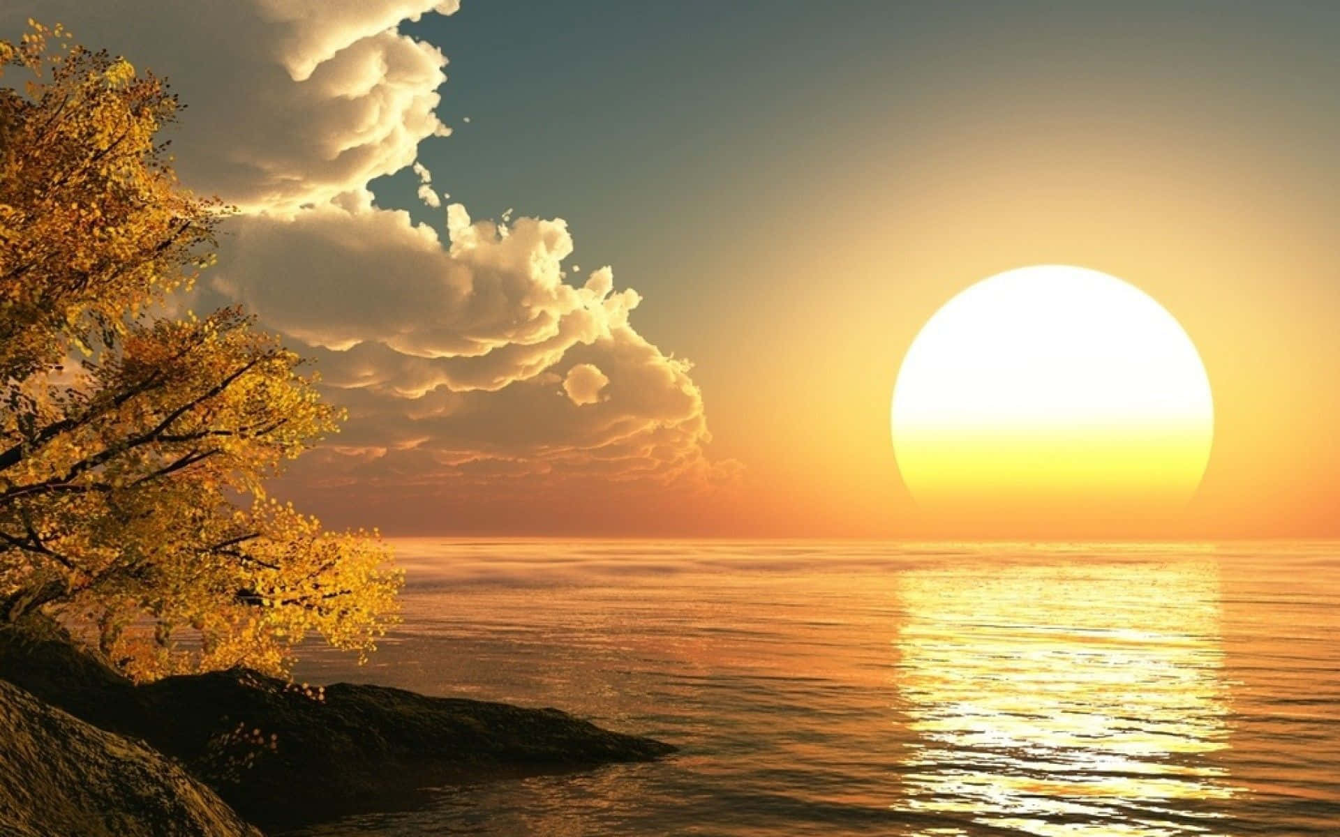 太陽 桌布 壁紙 — 金色夕陽在平靜的海面上閃耀，秋天的樹葉在岩石海岸上，在戲劇性的雲層下閃爍。