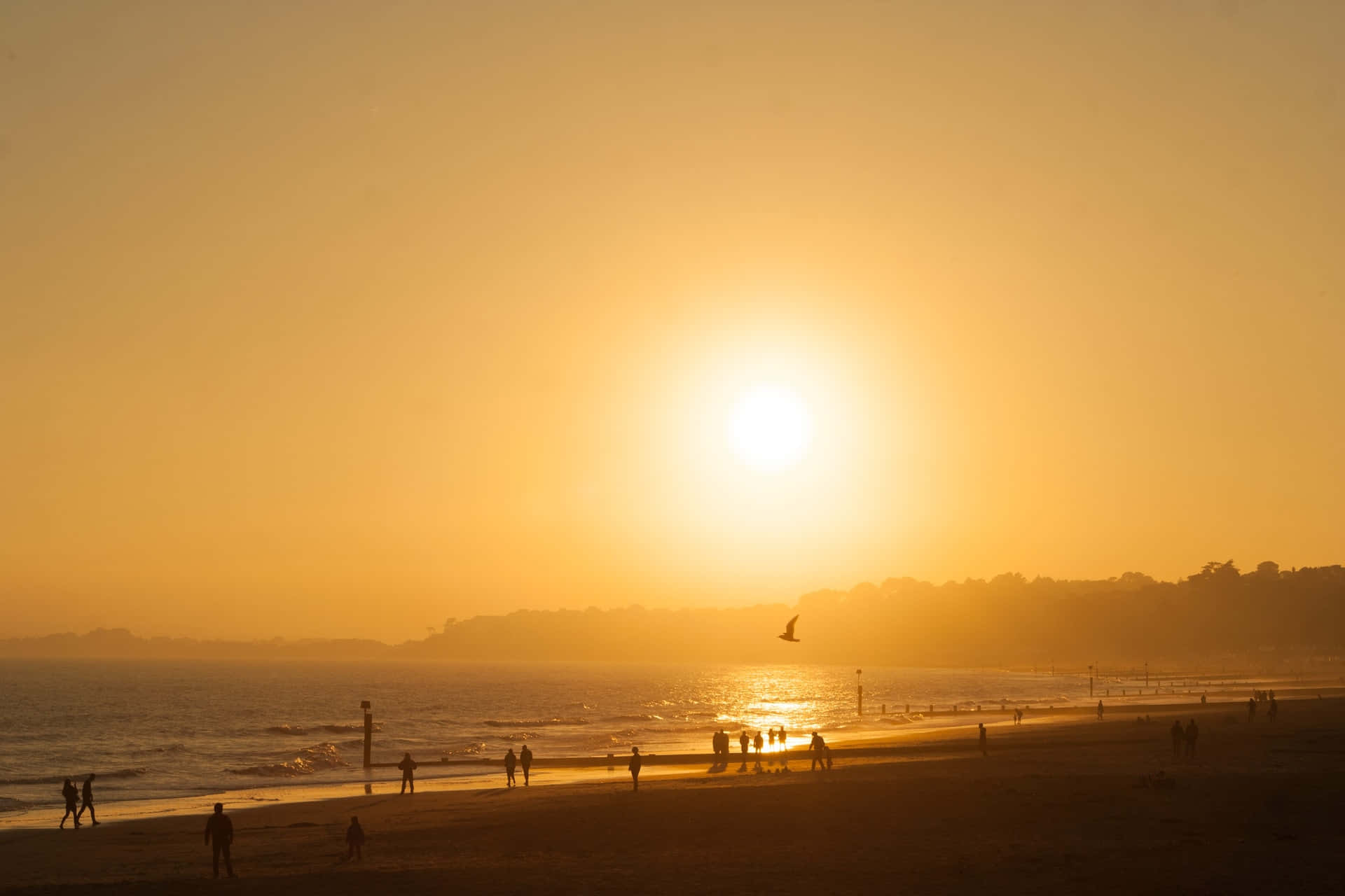Yellow Beach 桌布 壁紙 — 金色夕陽在海灘上灑下溫暖的光芒，剪影般的人們漫步，一隻鳥在閃爍的海平線附近飛翔。