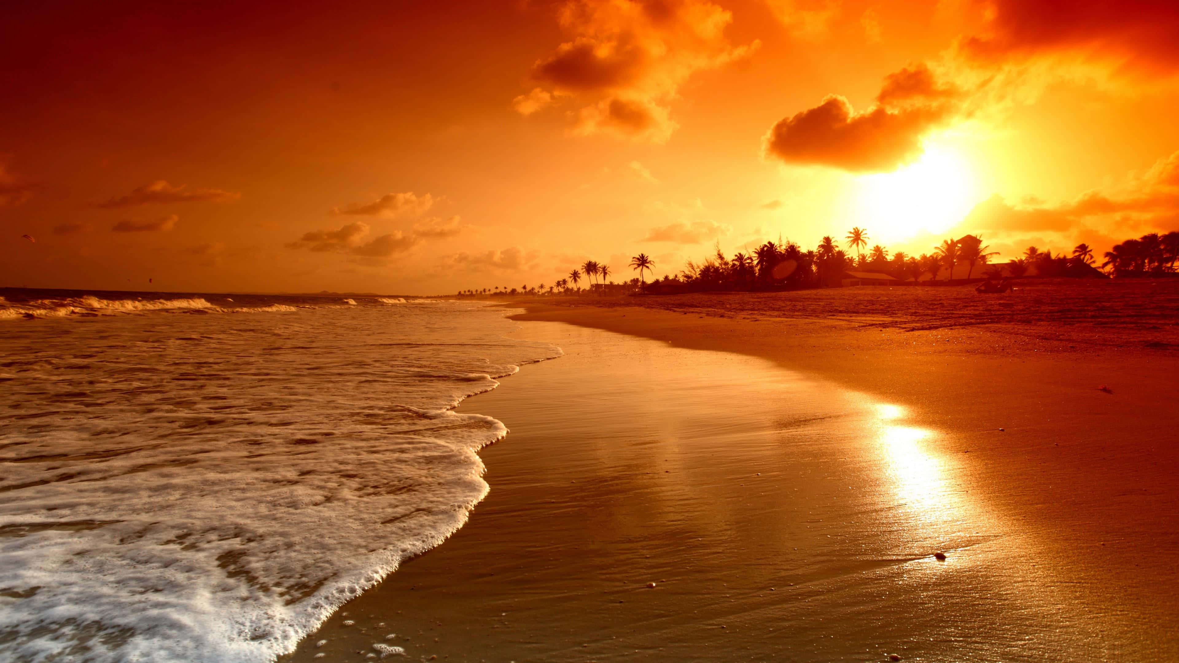 Beautiful Beach 桌布 壁紙 — 金色夕陽將熾熱的橙色光芒投射在寧靜的海灘上，溫柔的海浪拍打著海岸，遠處的棕櫚樹輪廓分明。